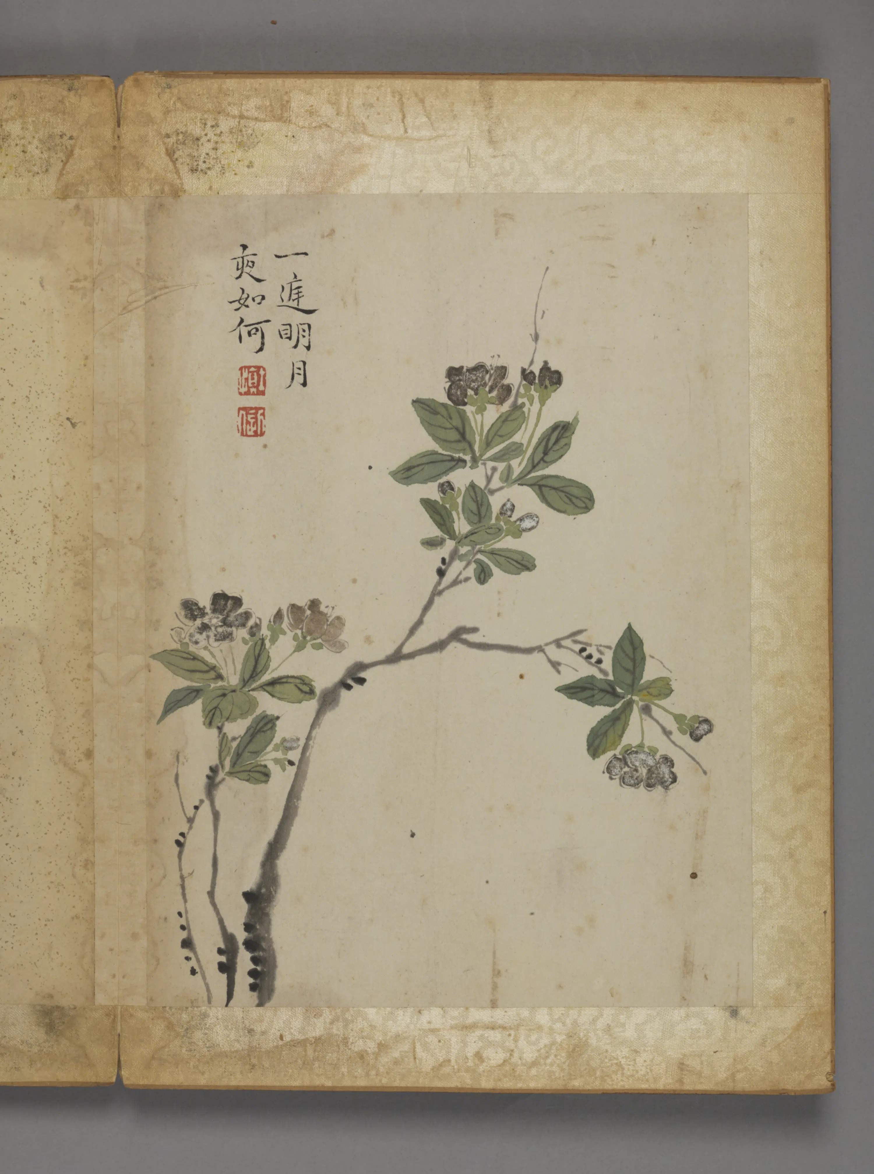 清代【汪士慎】《花卉册(12开)》 第2张 清代【汪士慎】《花卉册(12开)》 第2张