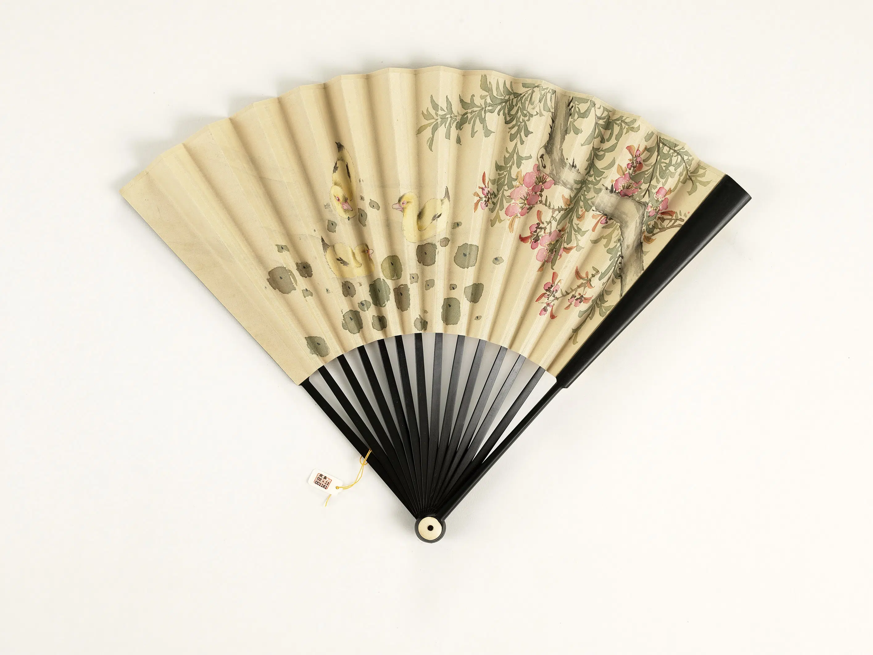 清代《清人花鸟-成扇-24》