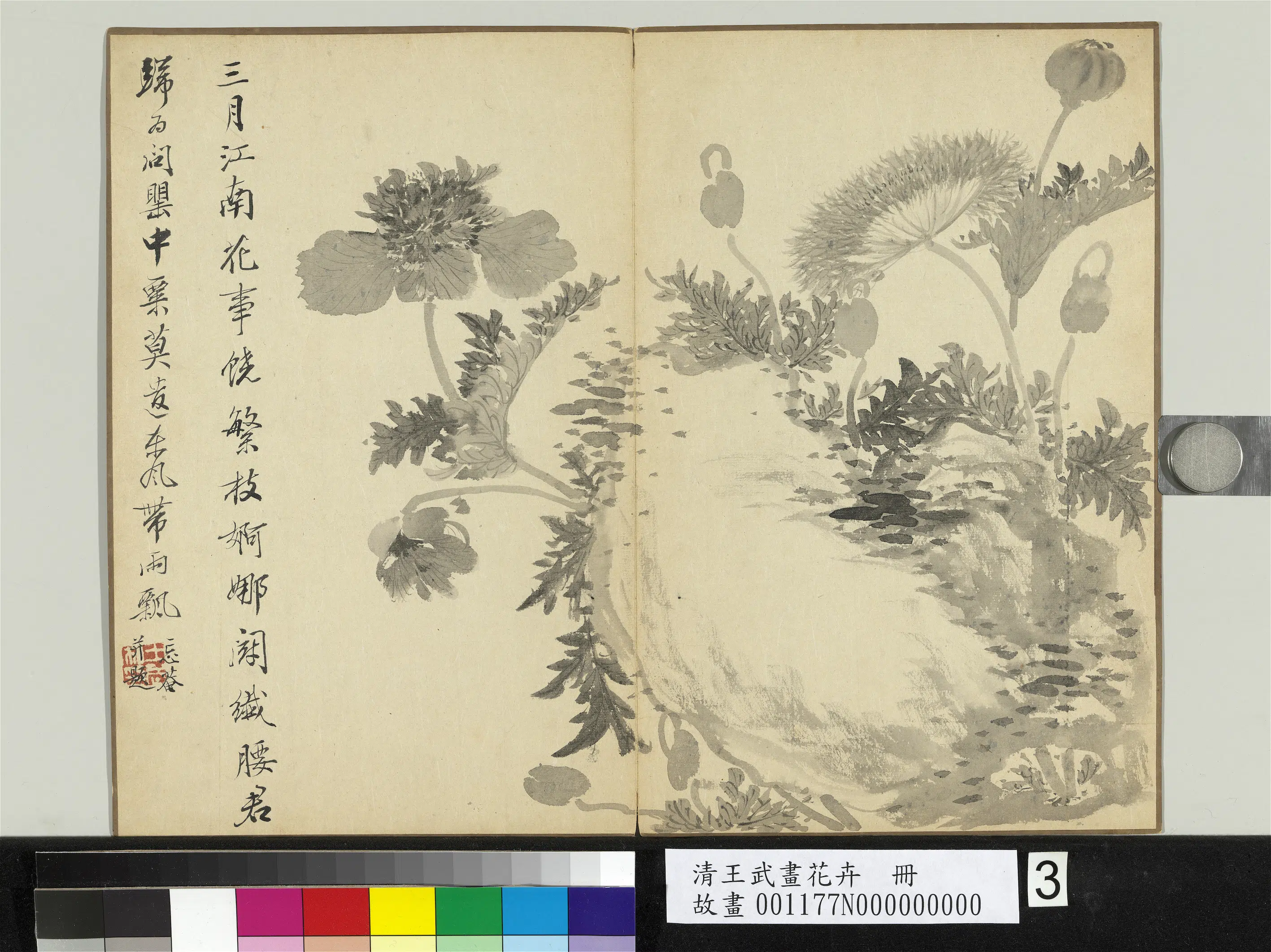 清代【王武】《画花卉册》 第5张