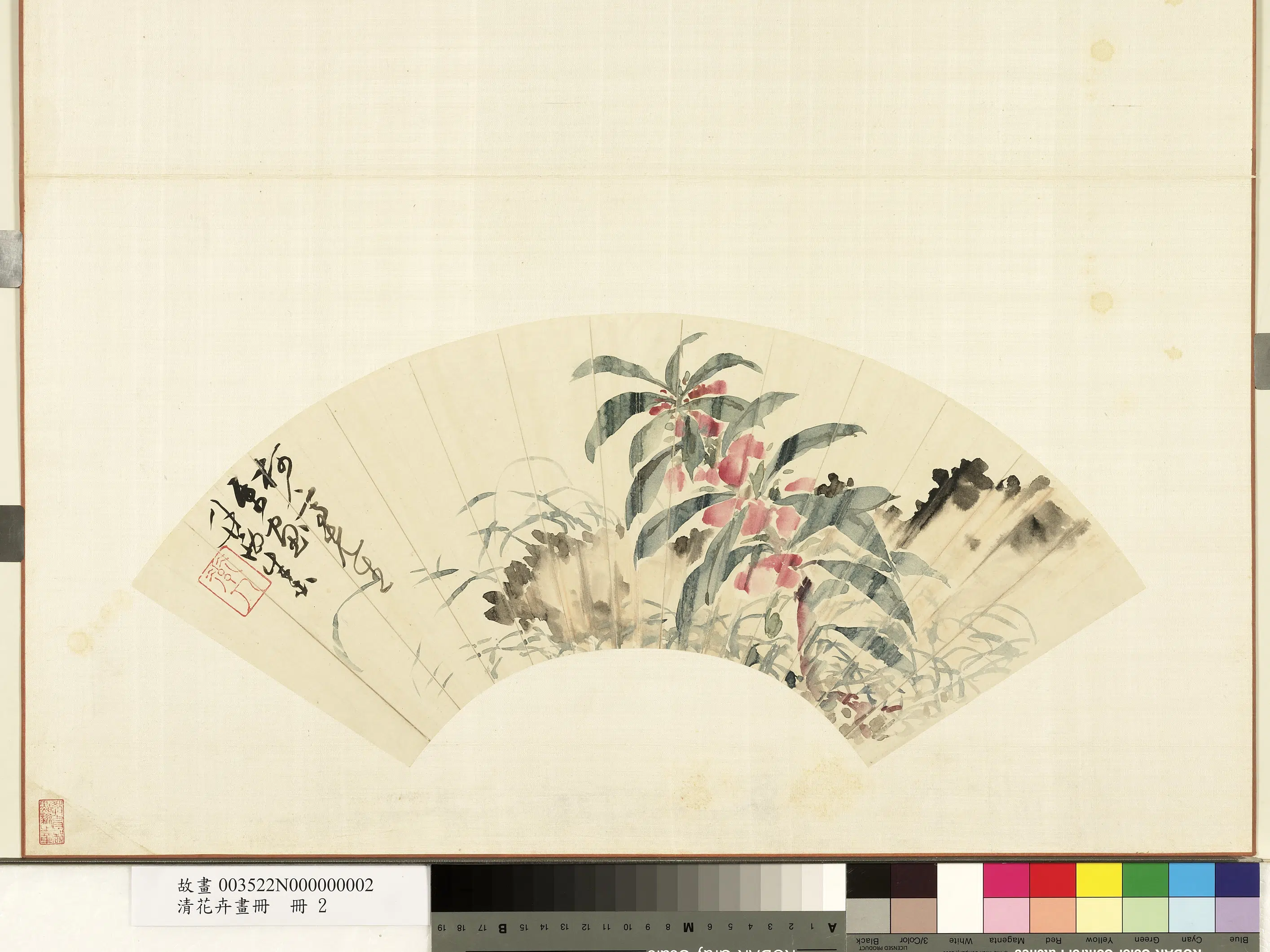 清朝【朱本】《花卉画册-朱本画凤仙花》