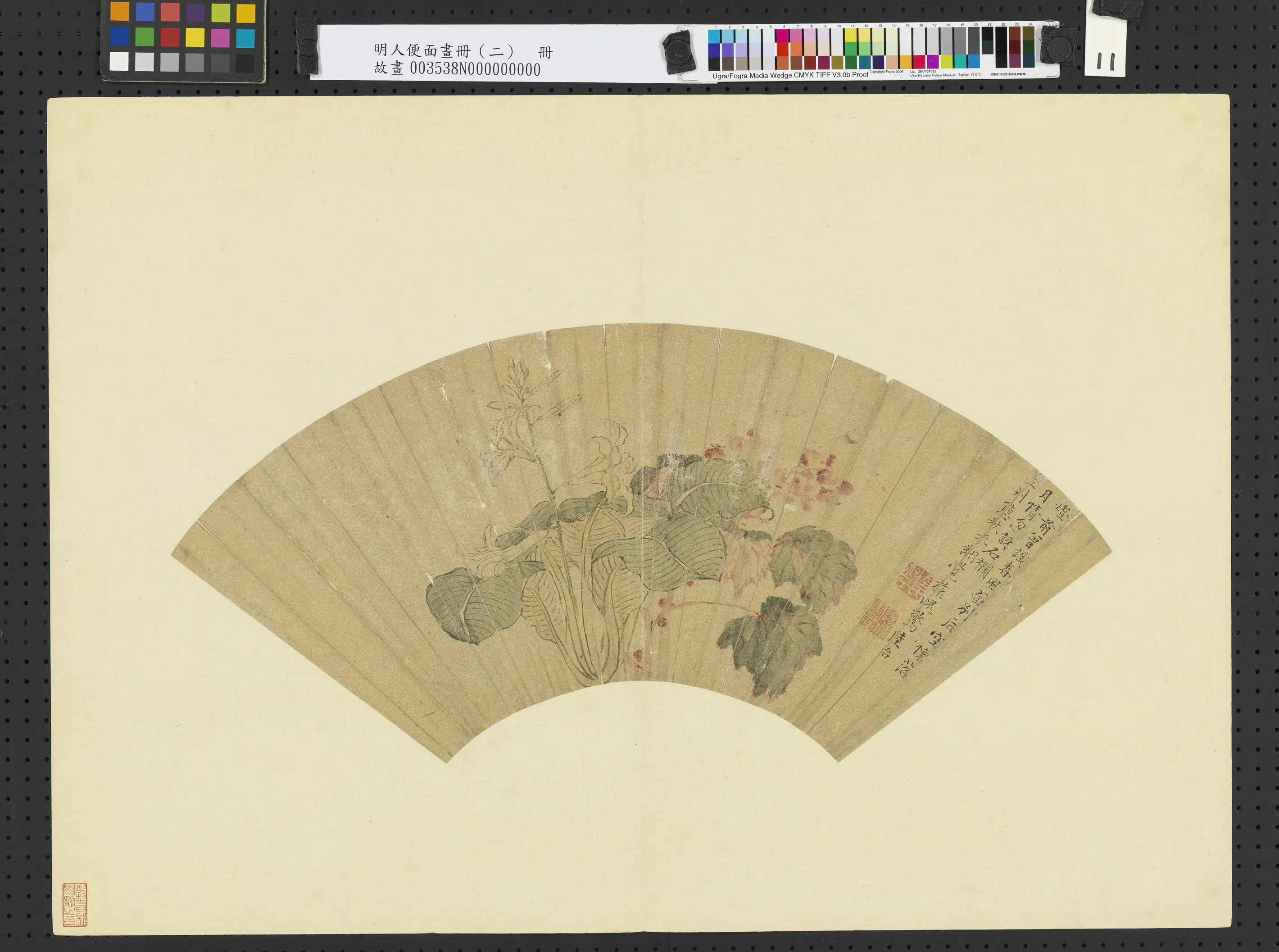 明代【陆治】《秋卉图_明人便面画册（二）册》