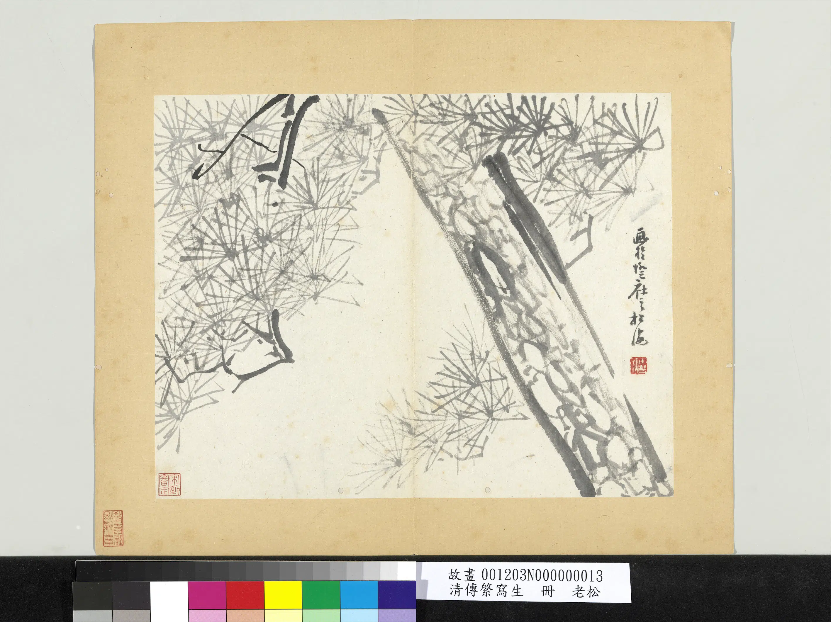 清代【朱耷】《传綮写生册-老松》