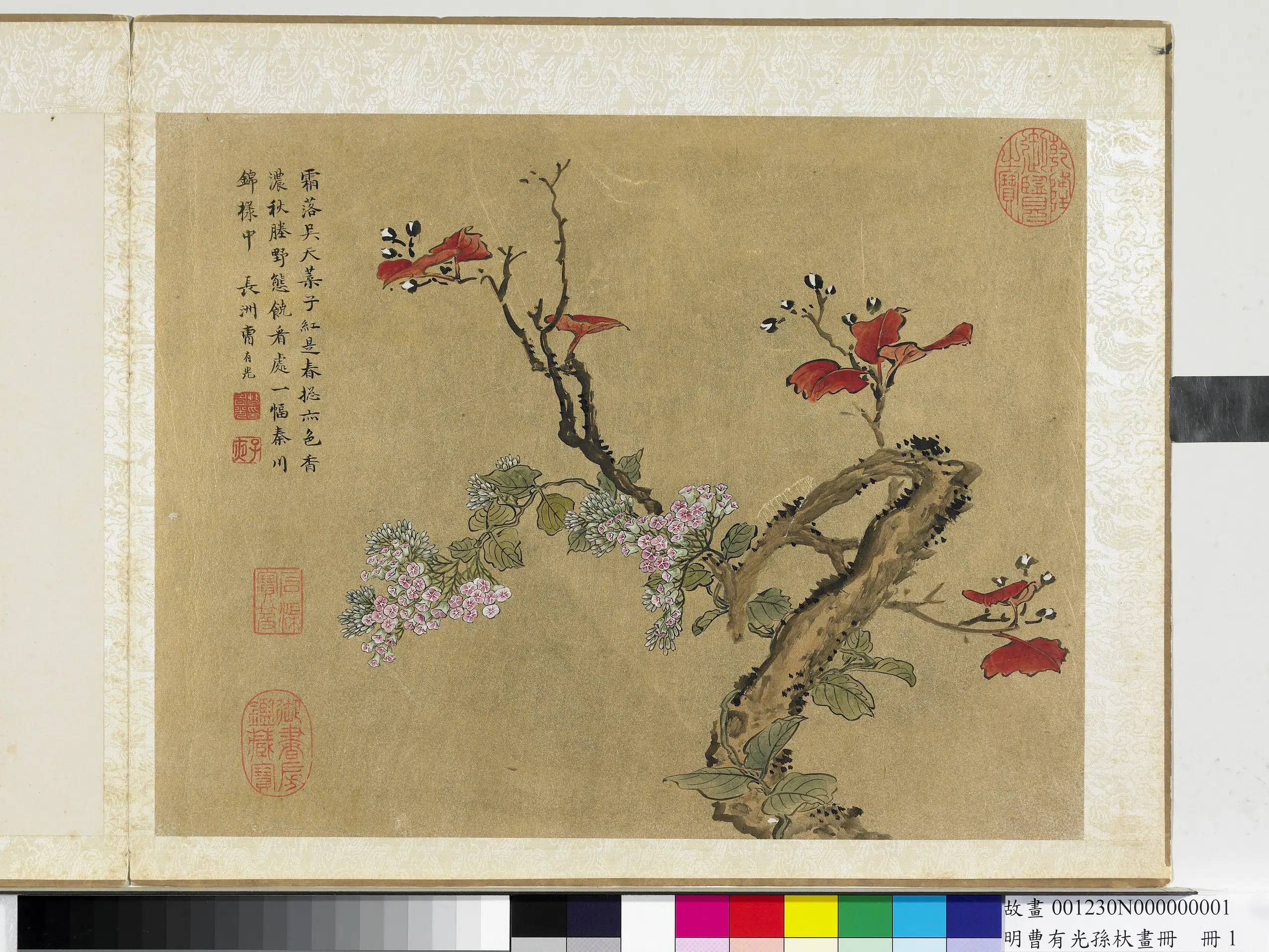 明朝【孙杕曹有光】《明曹有光孙杕画册》 第13张 明朝【孙杕曹有光】《明曹有光孙杕画册》 第13张
