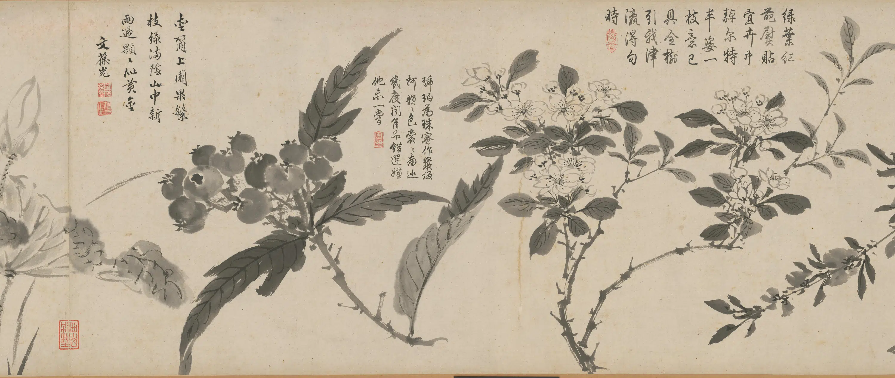 明朝【周之冕】《百花图卷》 第22张 明朝【周之冕】《百花图卷》 第22张