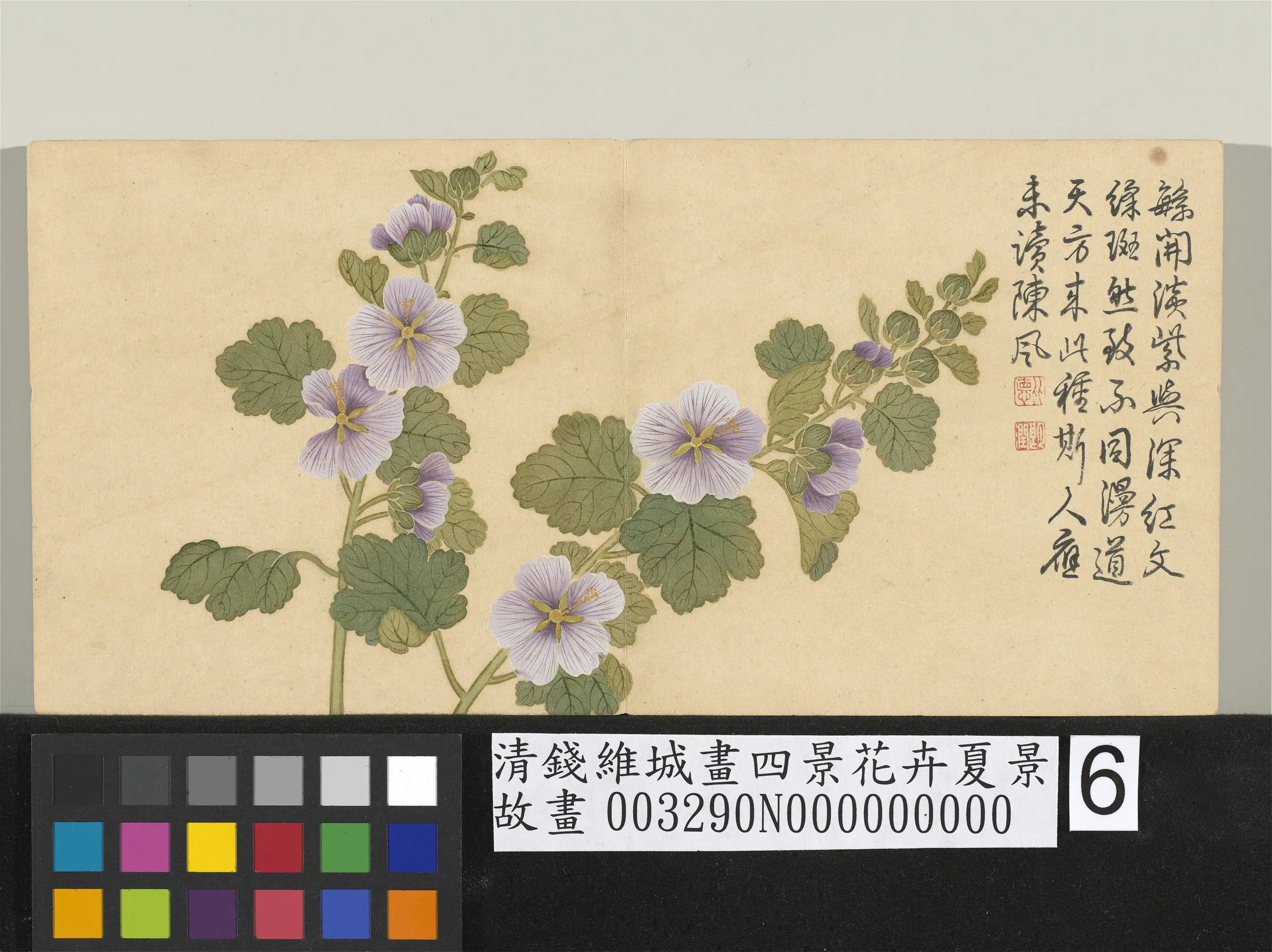 清代【钱维城】《画四景花卉夏景册-锦葵》
