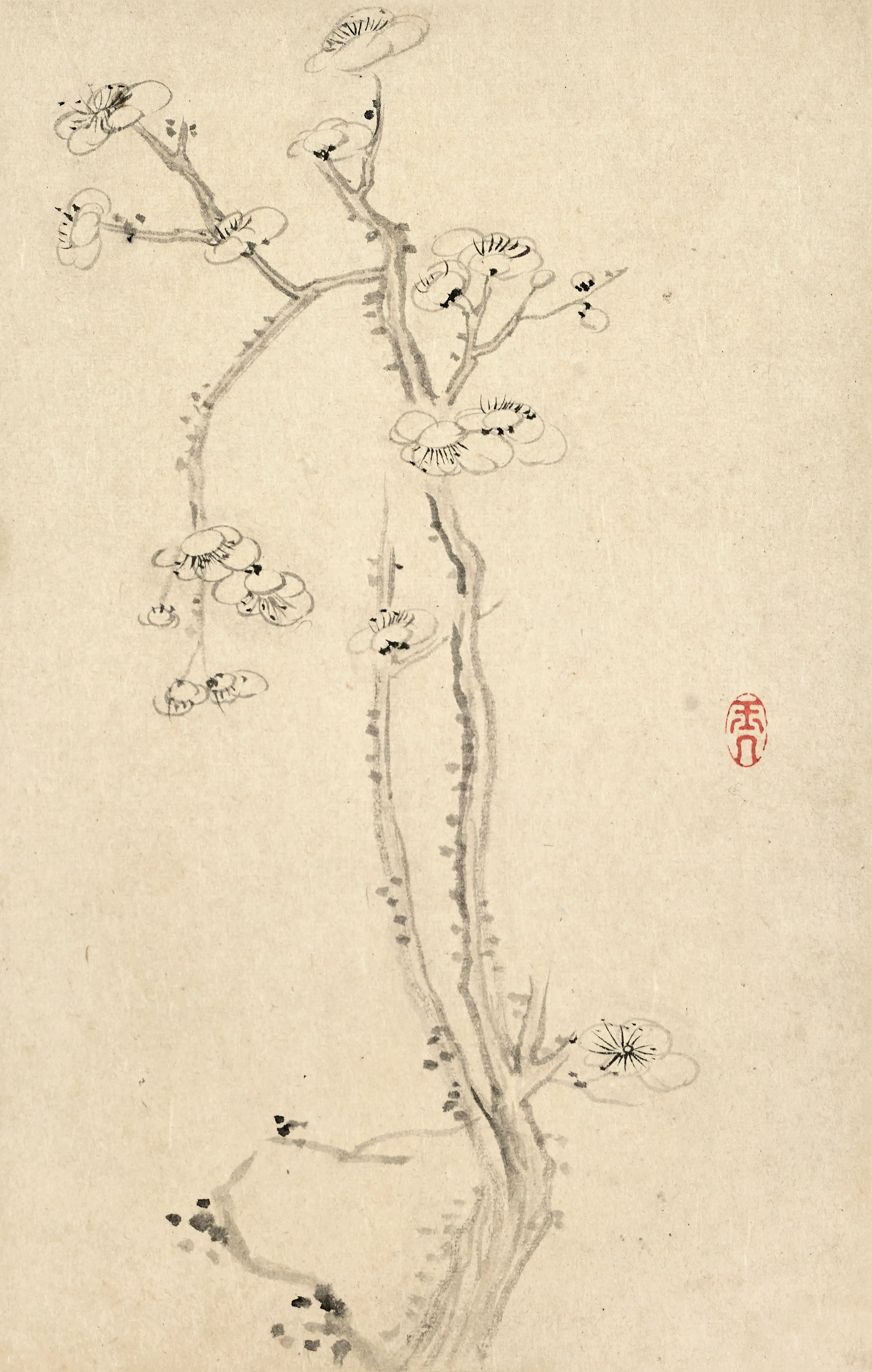 清代【陈撰】《花卉图册》 第5张