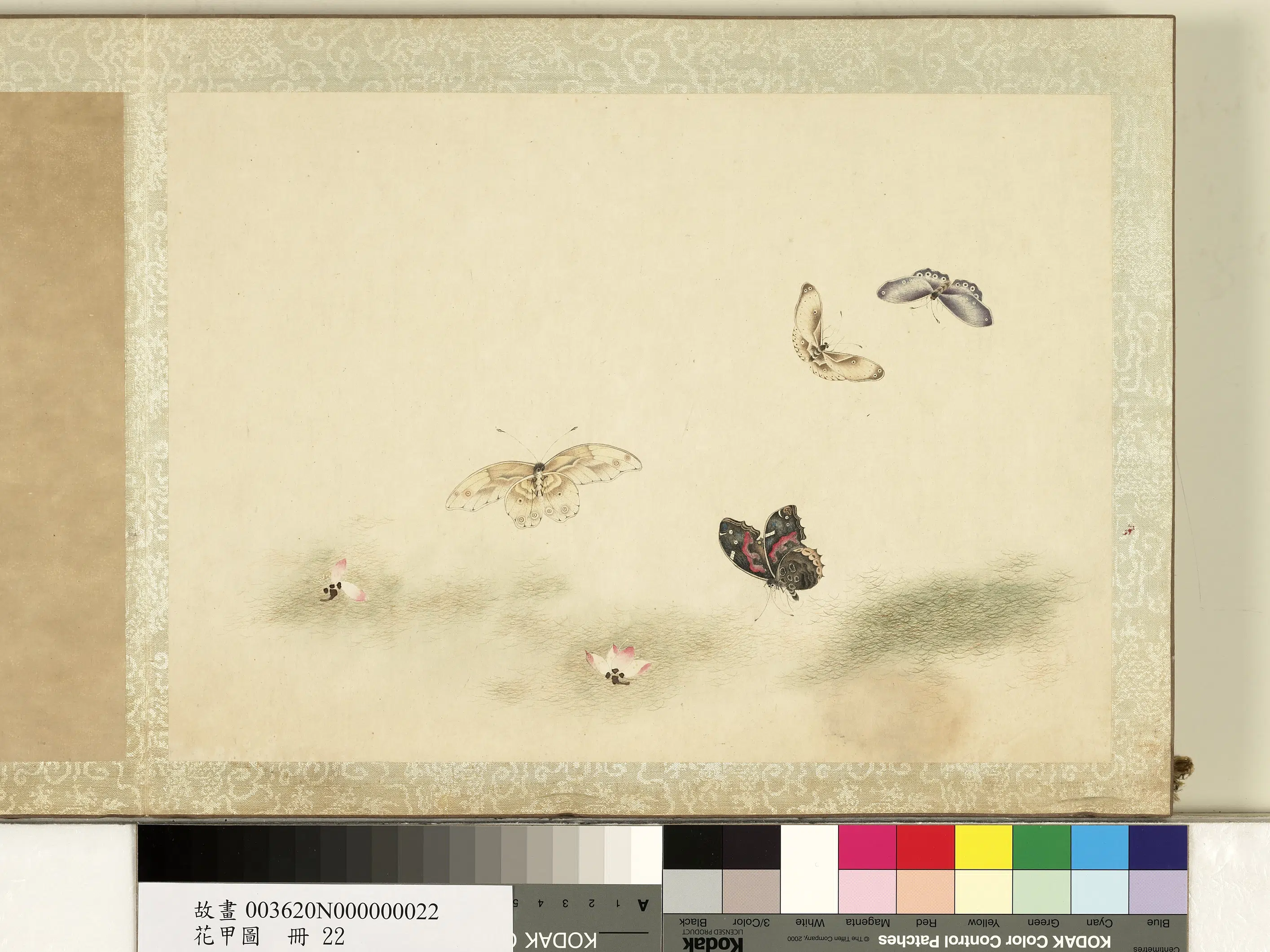 《花甲图册》 第22张 《花甲图册》 第22张