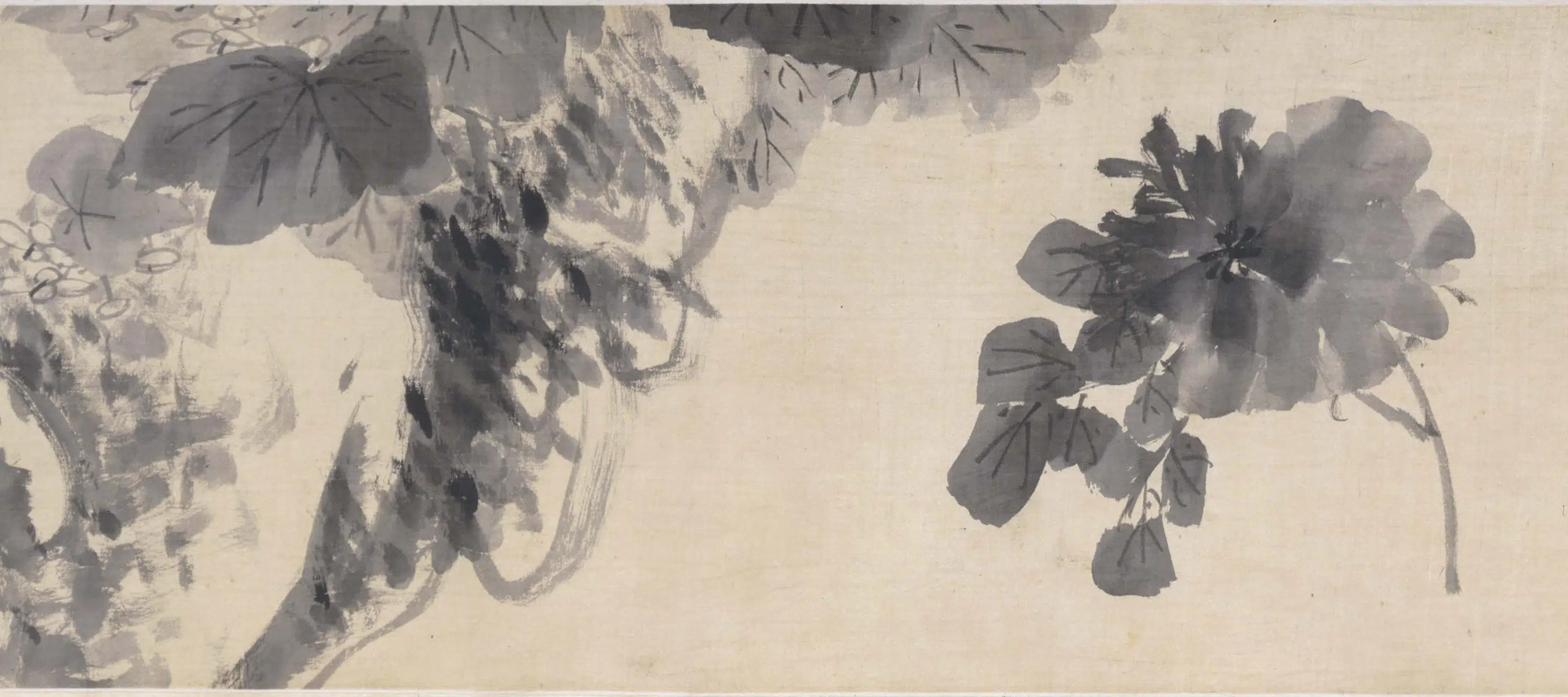 清代【朱耷】《花卉卷》 第3张