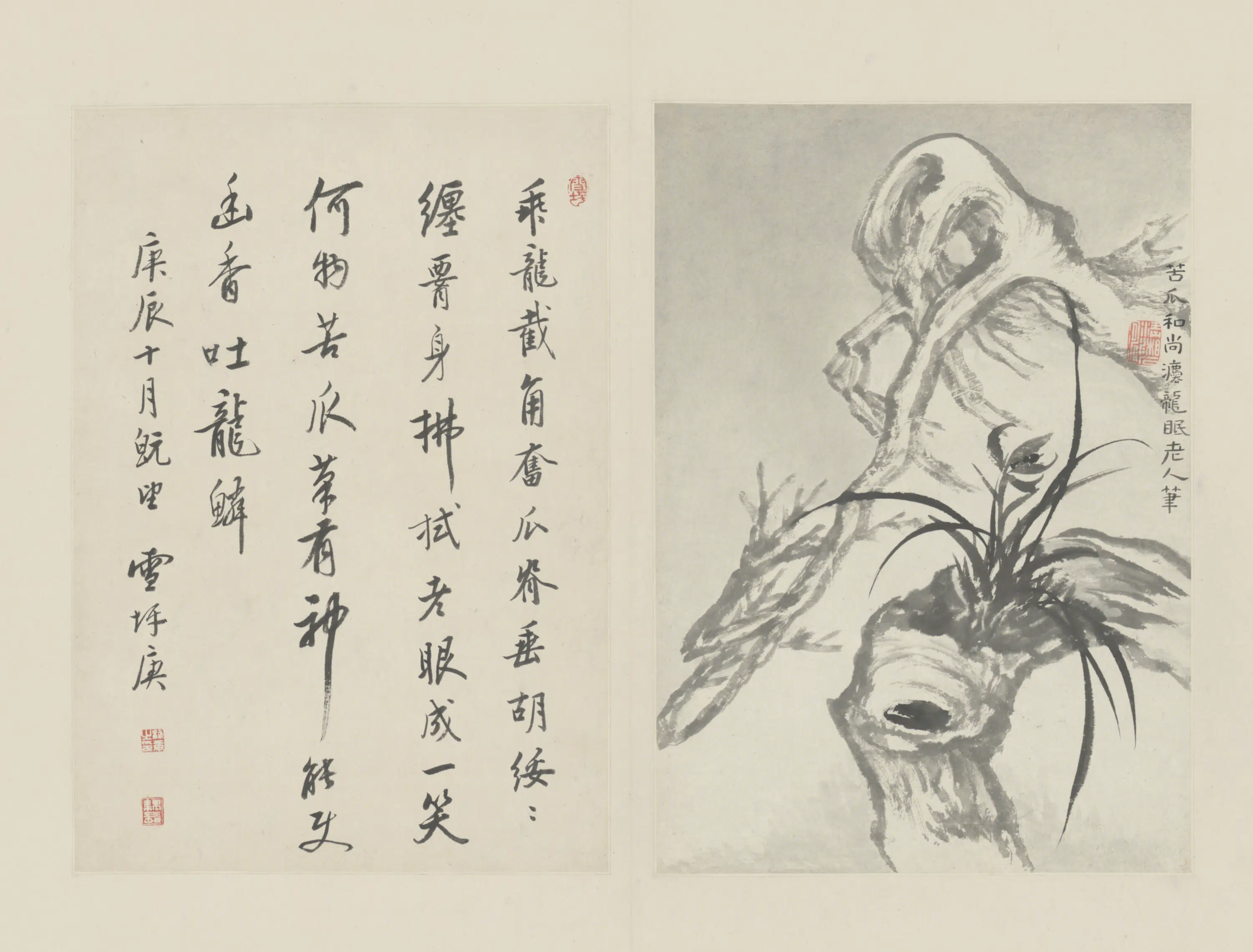 清代【原济】《兰竹册－古木兰草》