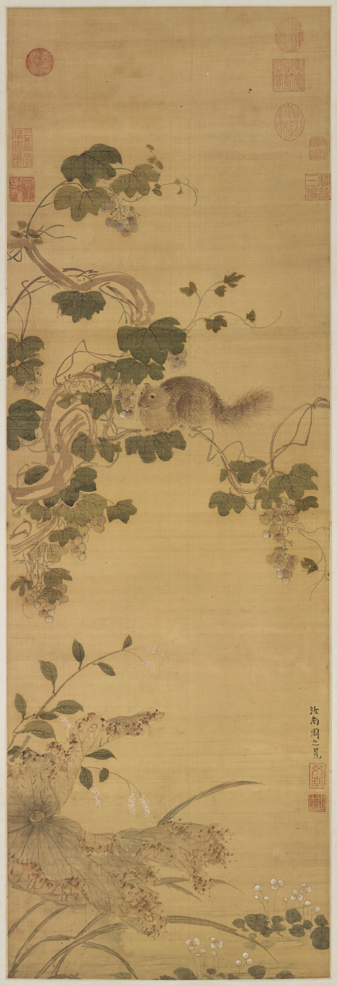 明朝【周之冕】《画葡萄松鼠图轴》
