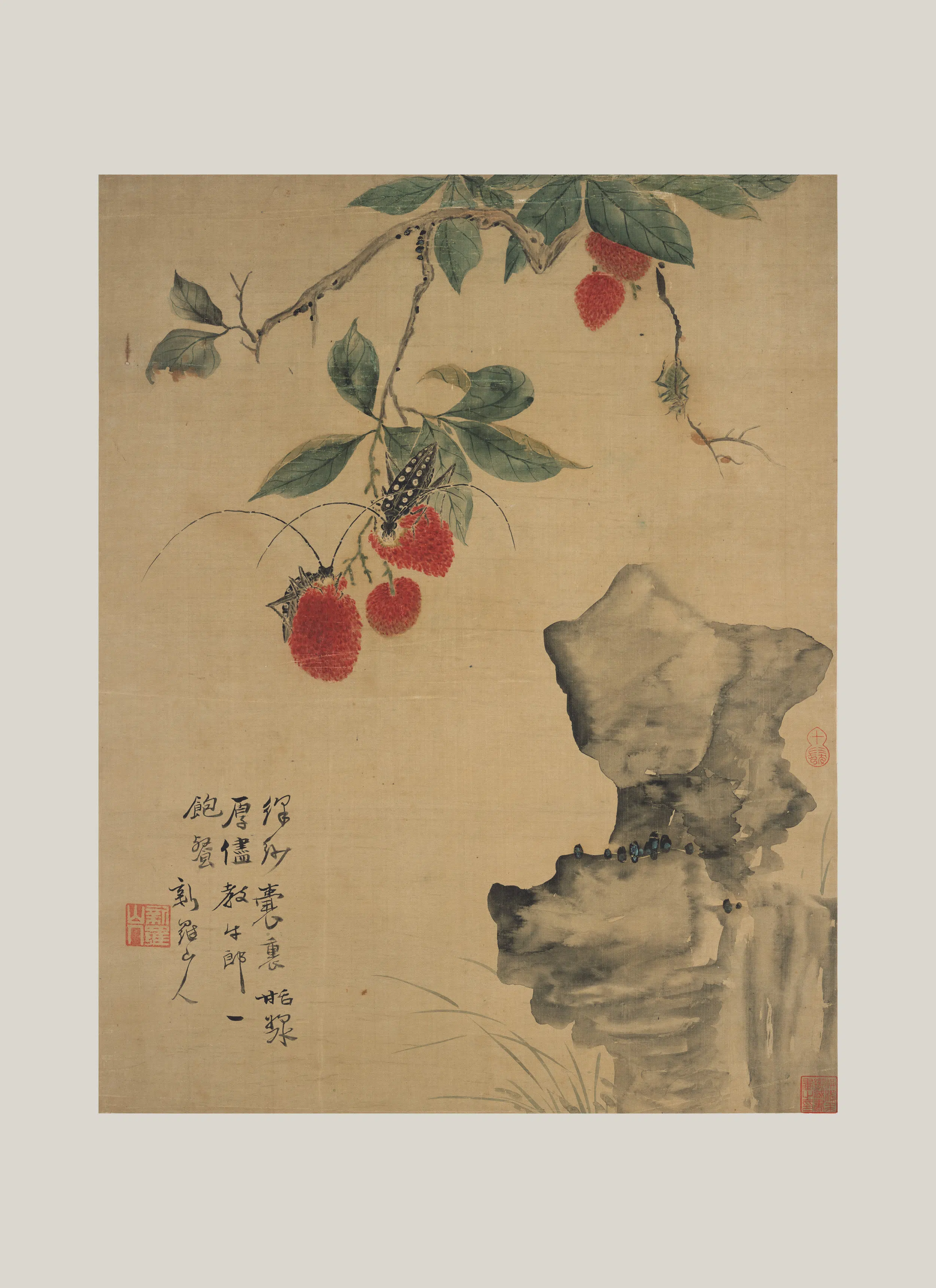 清代【华喦（华岩)】《荔枝牵牛图轴》