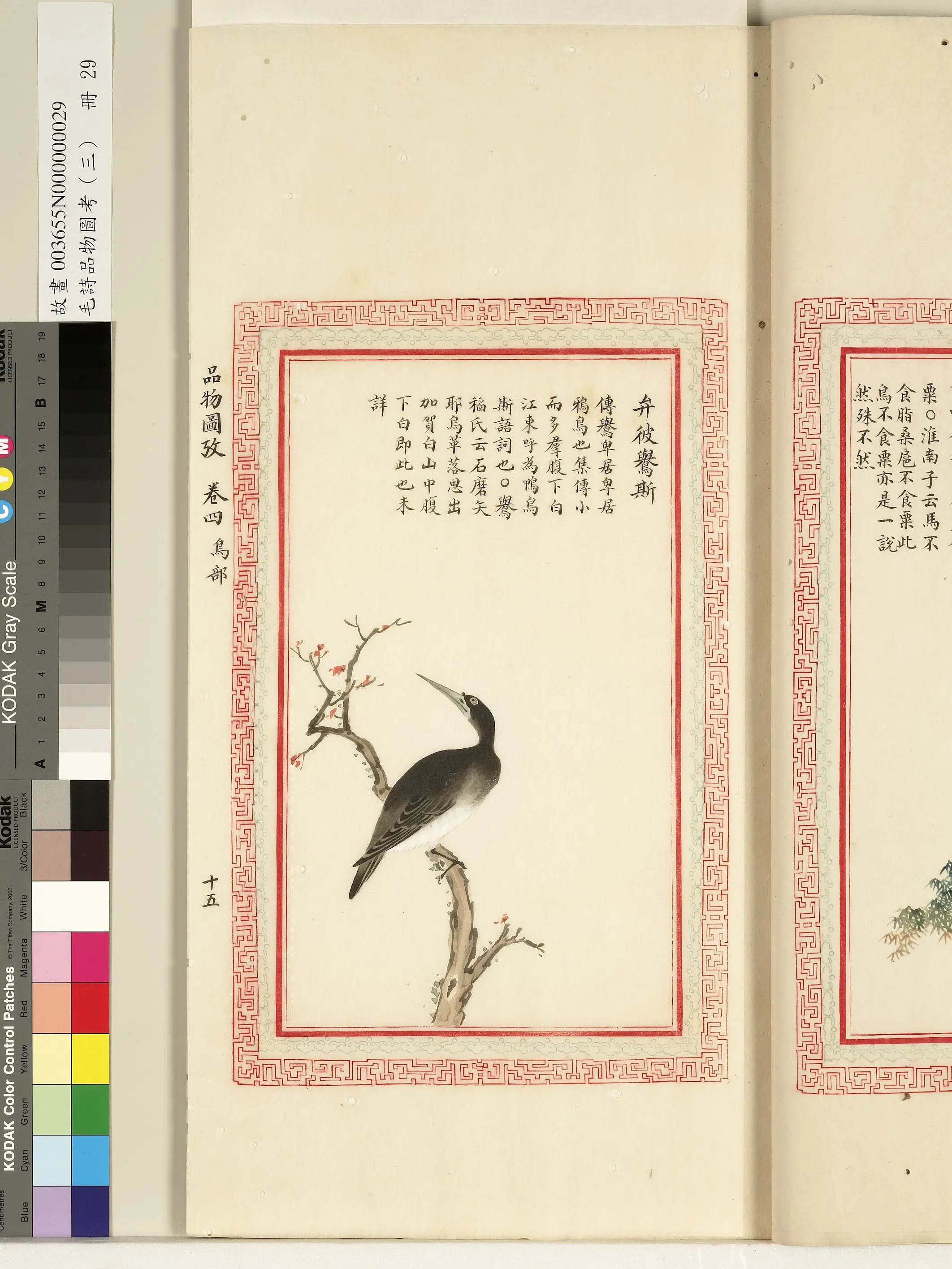 清代《毛诗品物图考(三)册-1》 第16张 清代《毛诗品物图考(三)册-1》 第16张