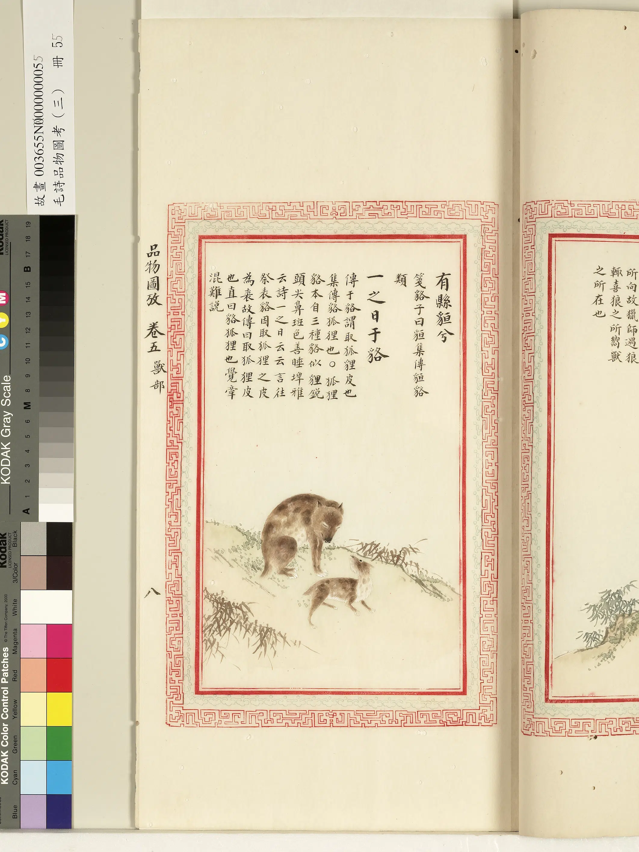 清代《毛诗品物图考(三)册-1》 第25张 清代《毛诗品物图考(三)册-1》 第25张