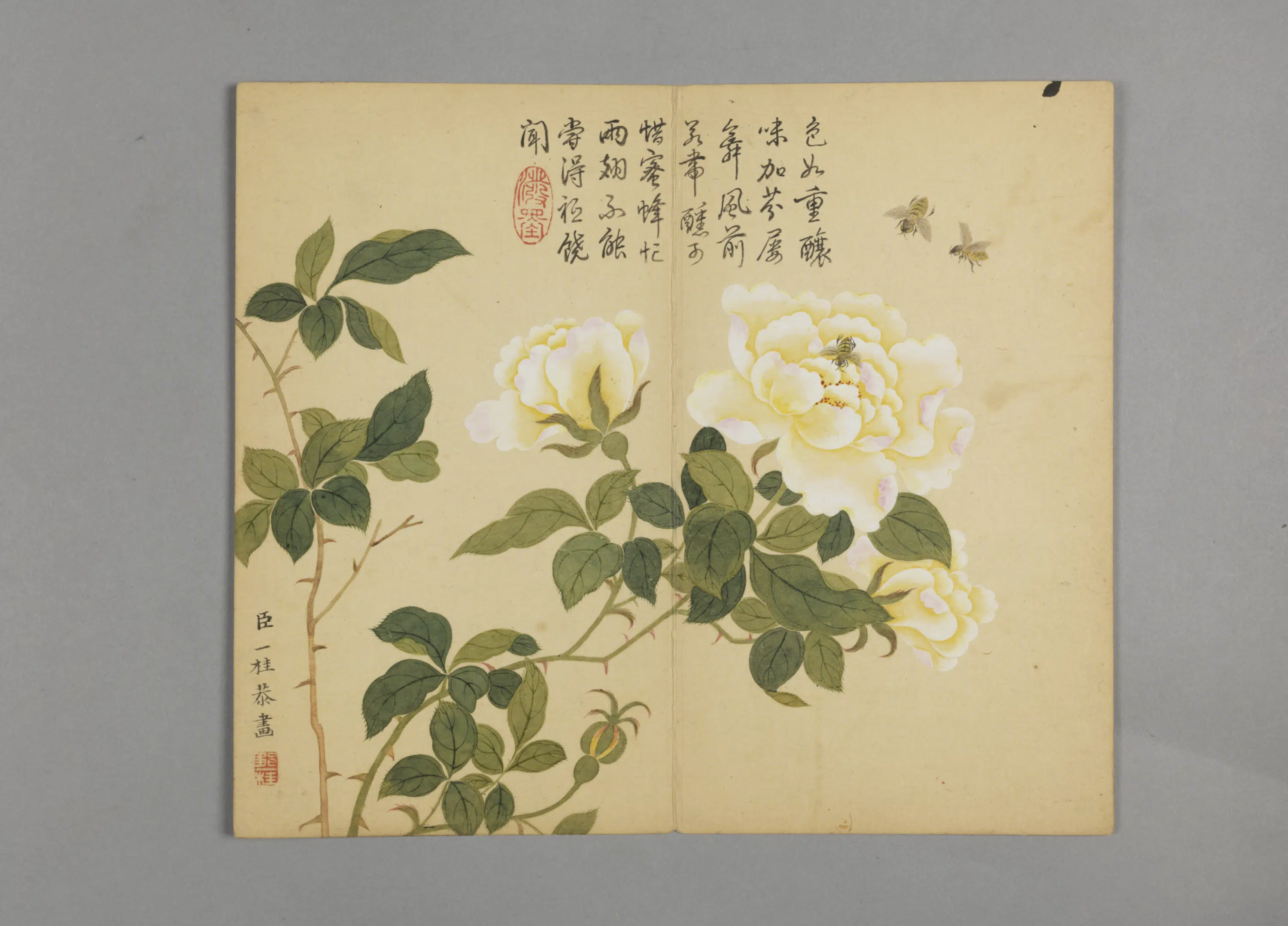 清代【邹一桂】《花鸟草虫图册（12开）》 第5张