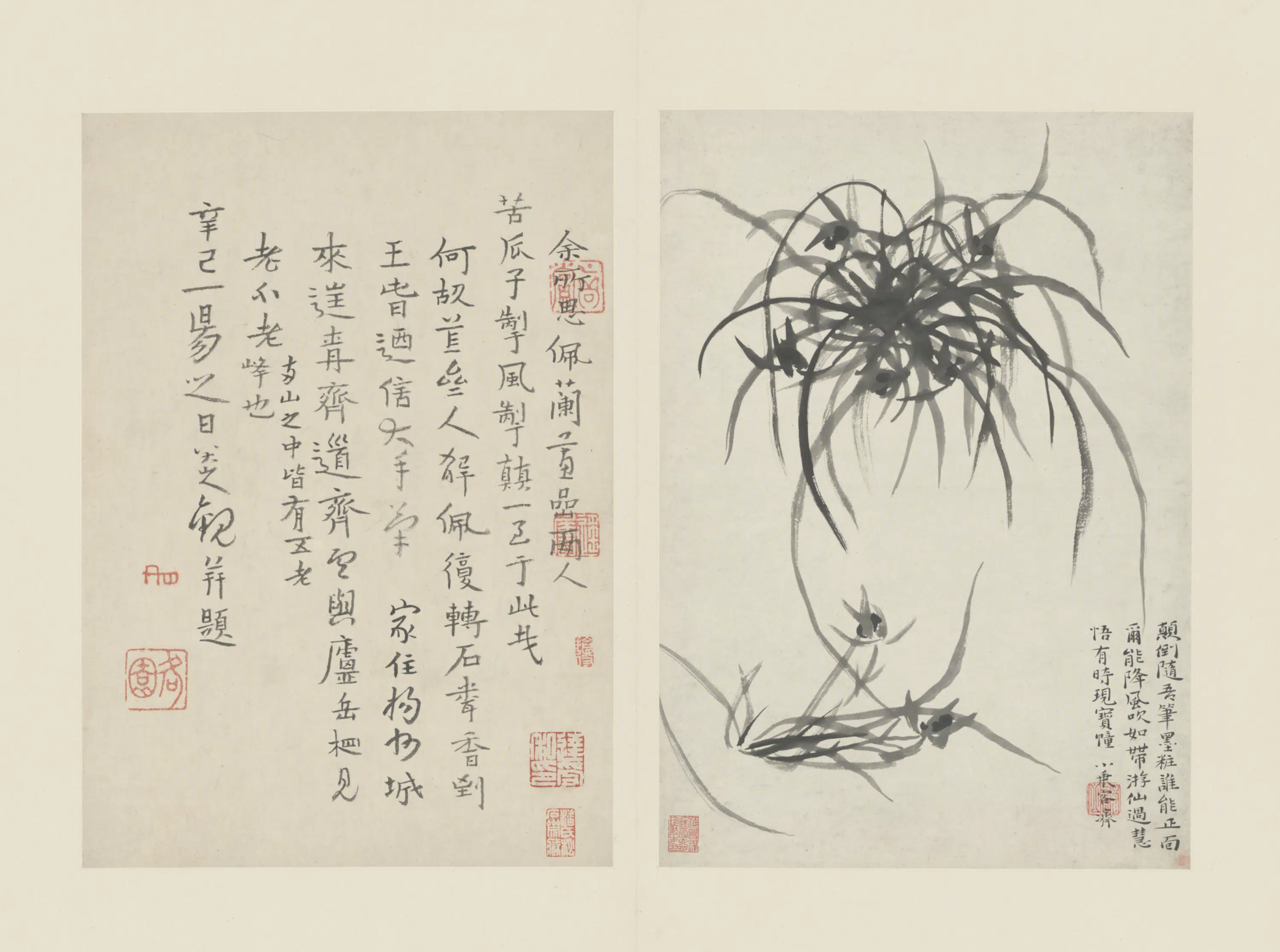 清代【原济】《兰竹册－兰草》