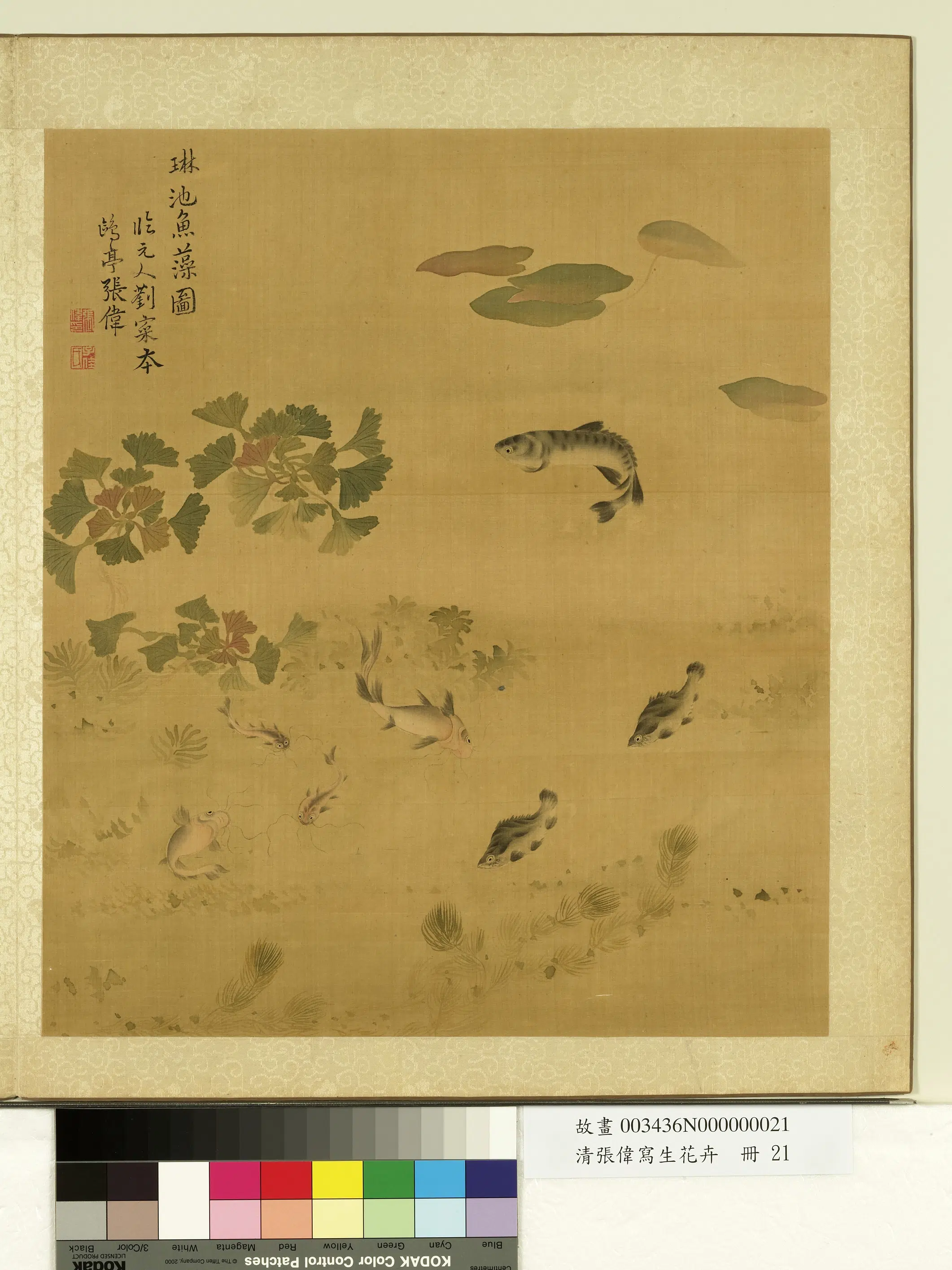 清代【张伟】《写生花卉册-鱼藻》