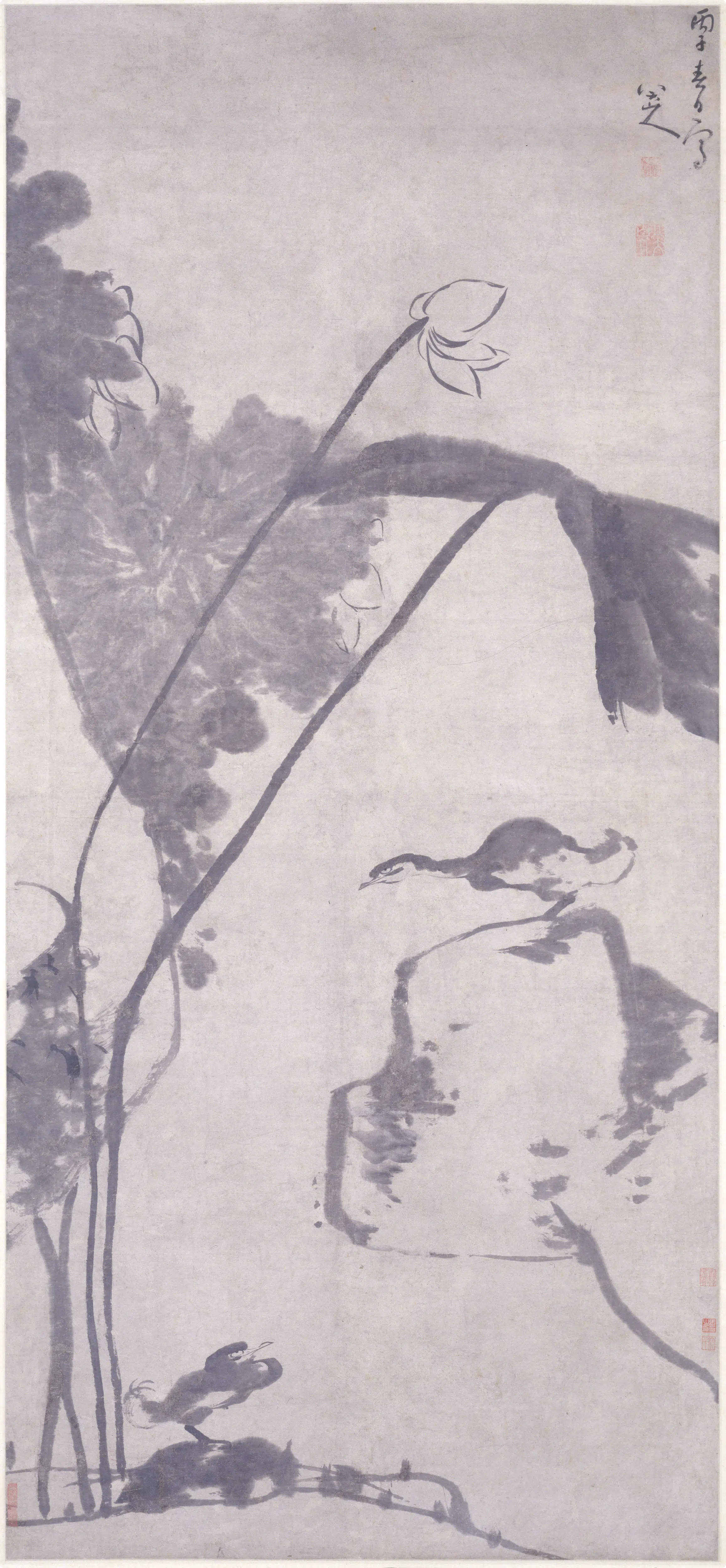 清代【朱耷】《荷鸭图轴-3》
