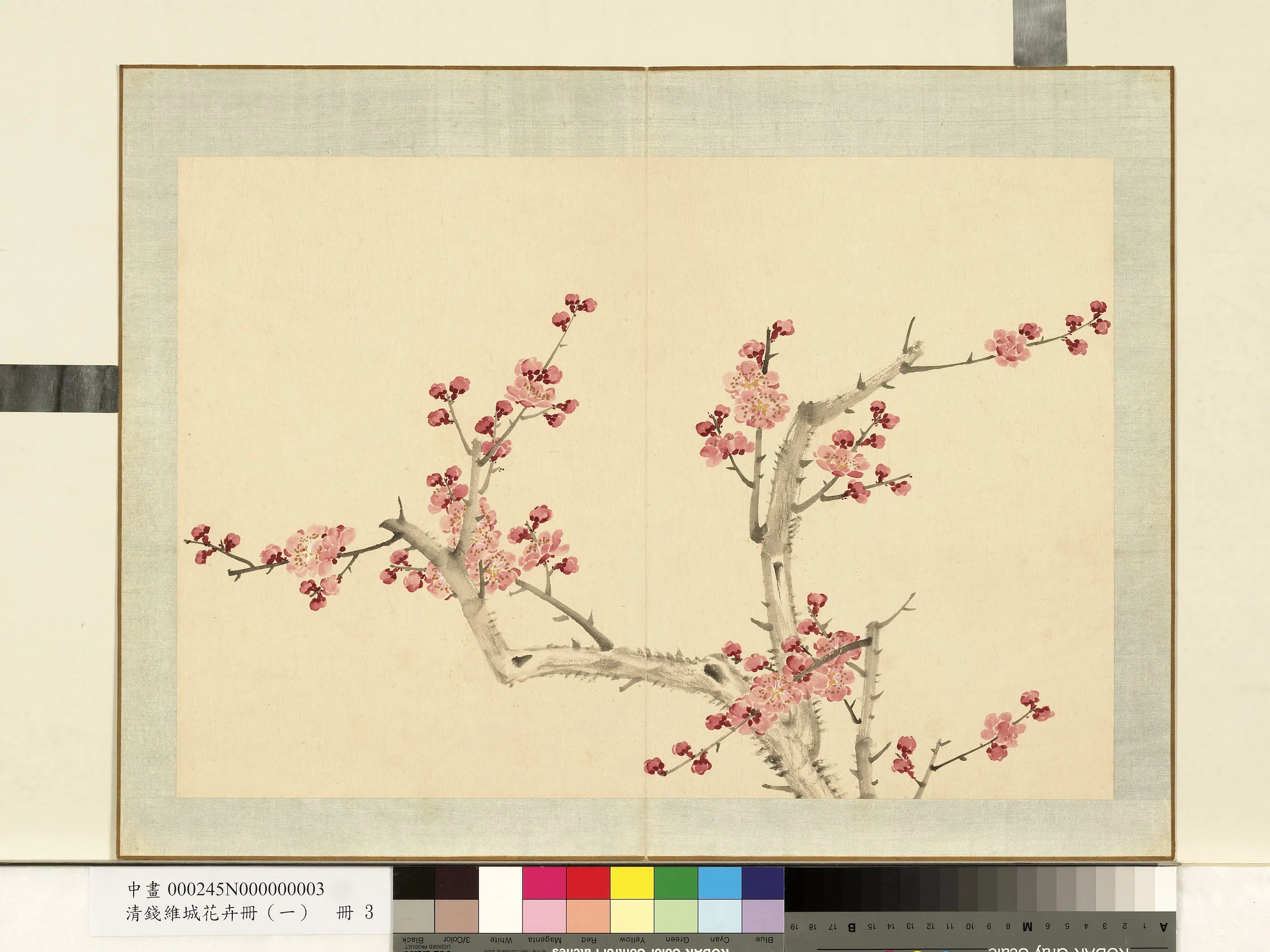 清代【钱维城】《花卉册（一）册-画梅之三》