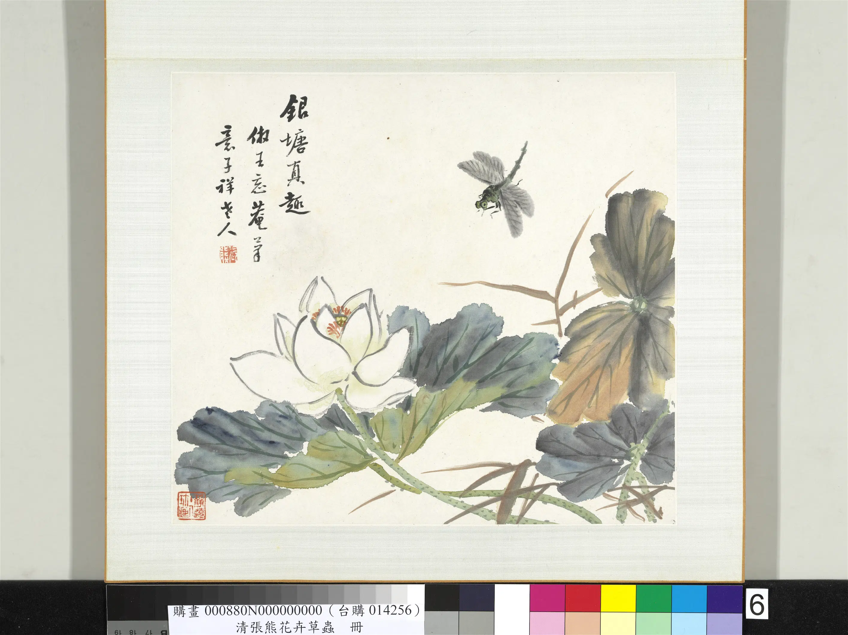 清代【张熊】《花卉草虫册-（六）》