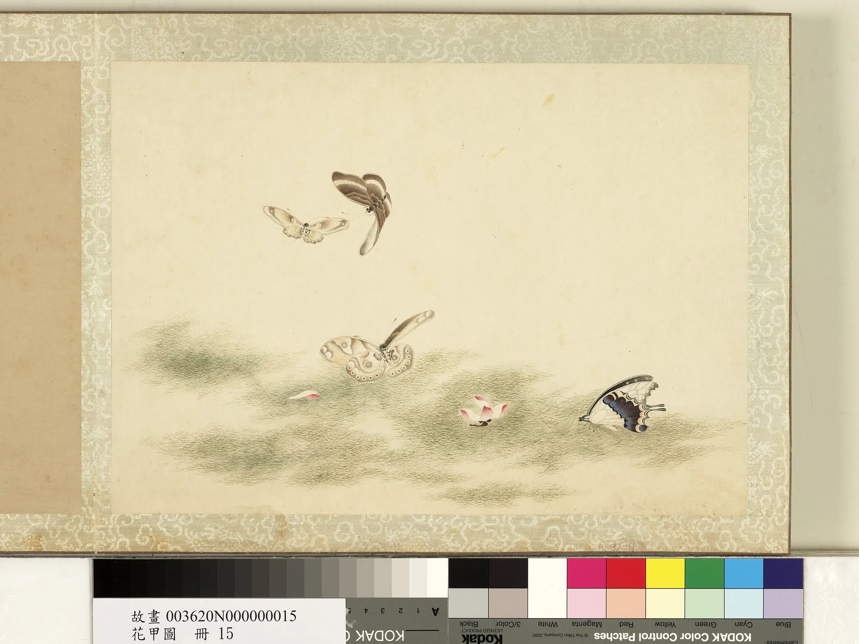 《花甲图册》 第14张 《花甲图册》 第14张