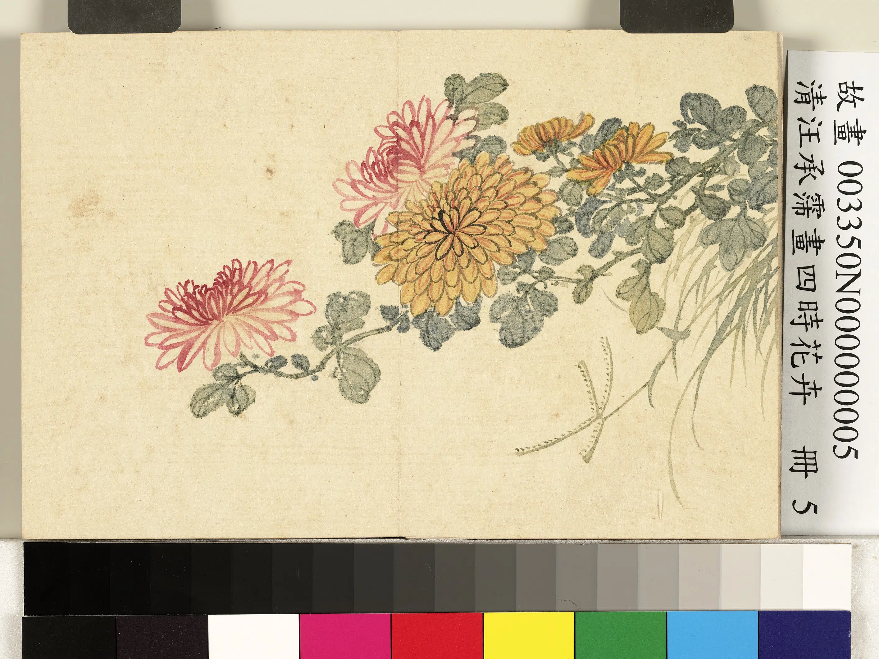 清代【汪承霈】《画四时花卉册》 第7张