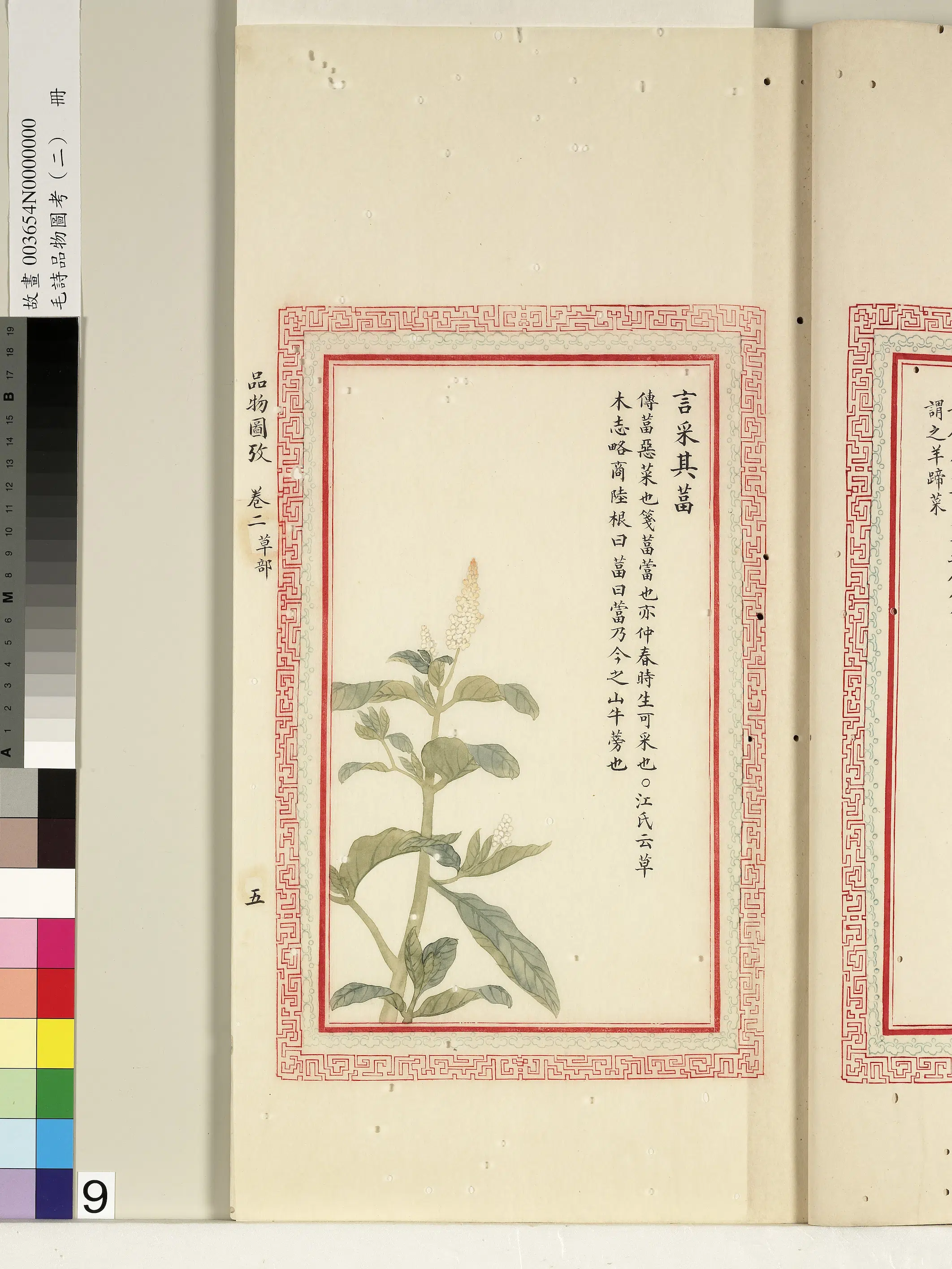 清朝【佚名】《毛诗品物图考（二）册-言采其葍-1》