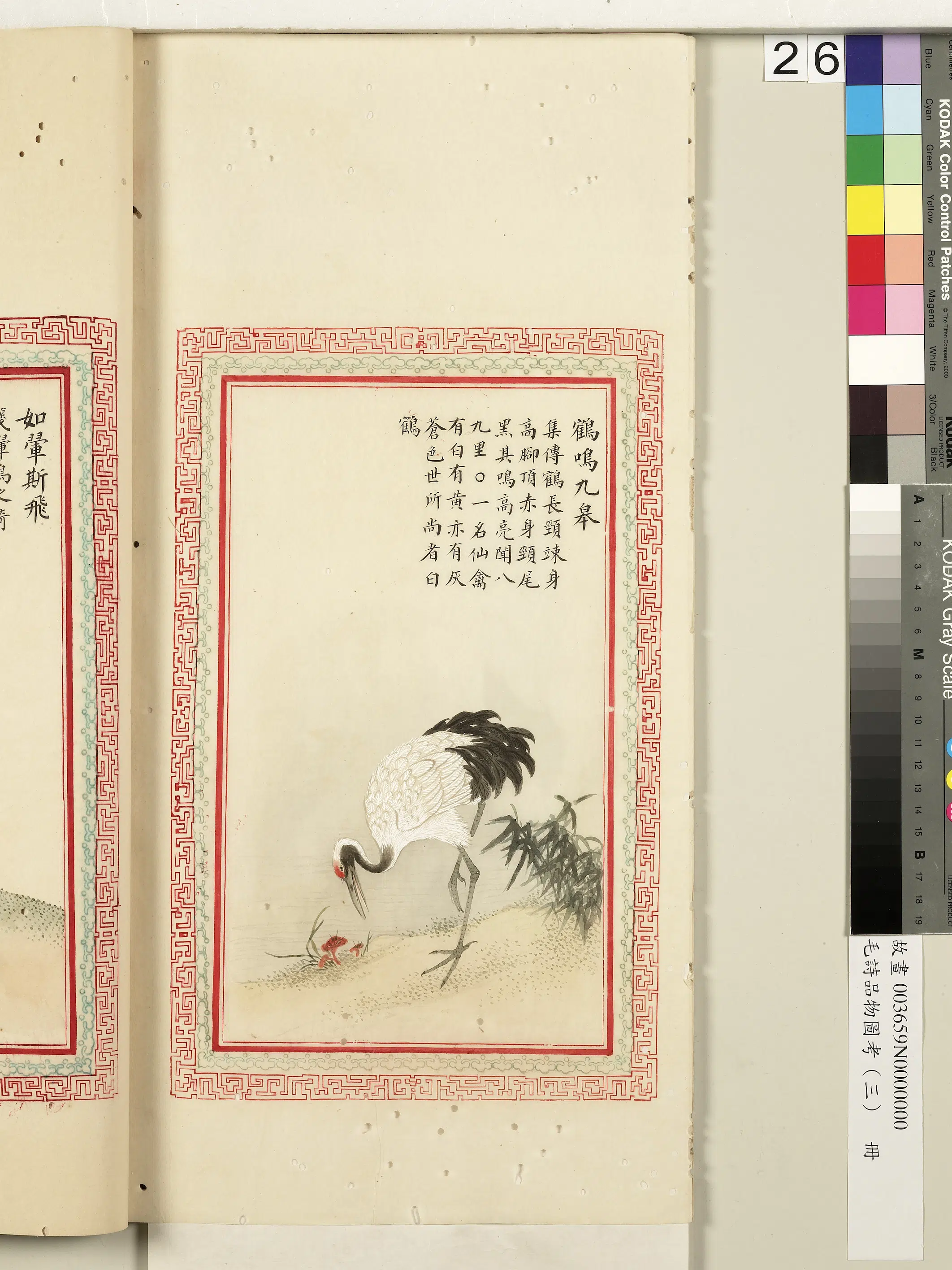 清代《毛诗品物图考(三)册-2》 第59张 清代《毛诗品物图考(三)册-2》 第59张