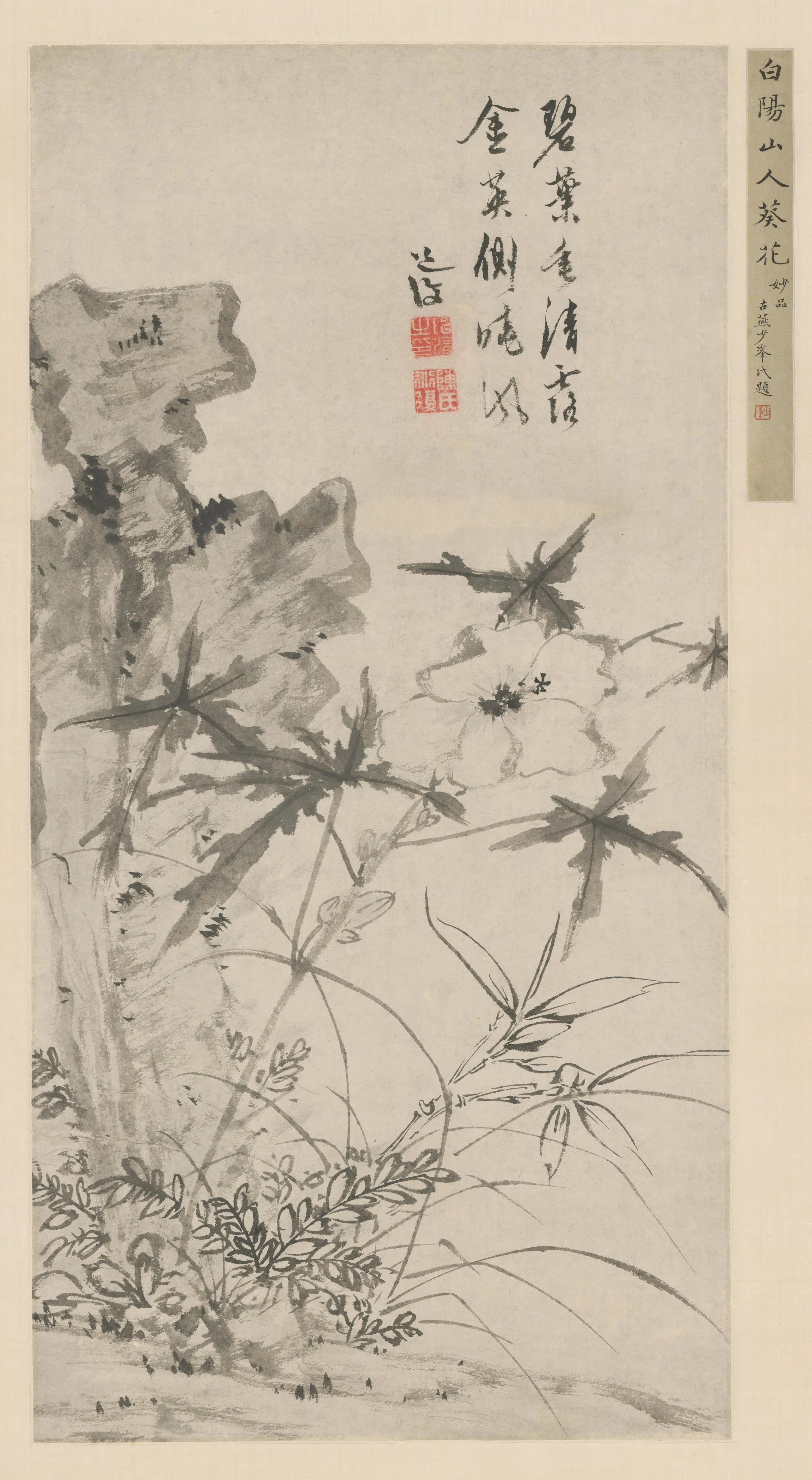 明朝【陈淳（道复）-可能重复】《陈道復葵石图轴》