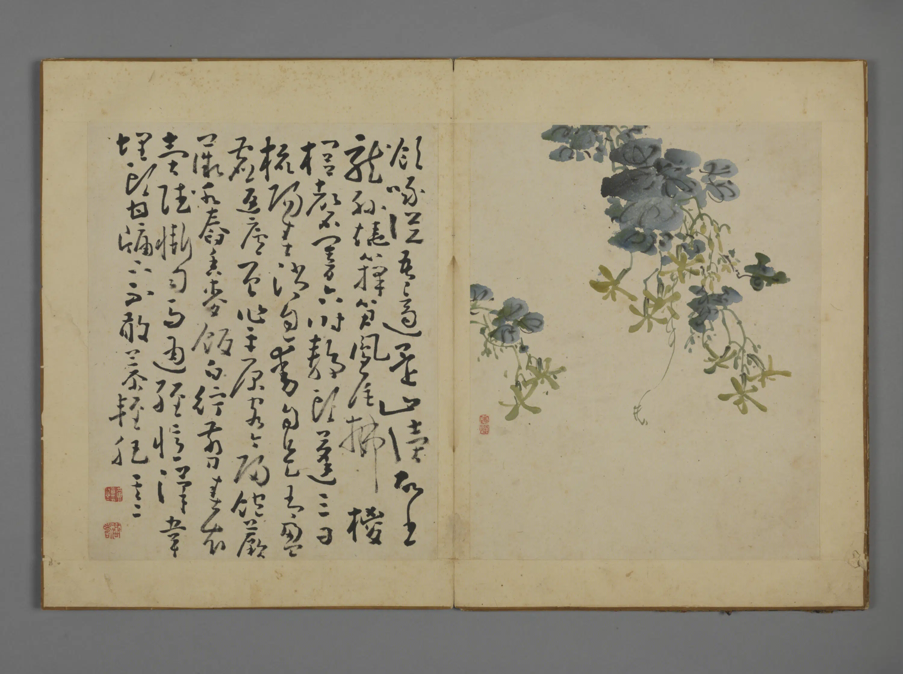 清代【黄慎】《花卉图册》 第5张