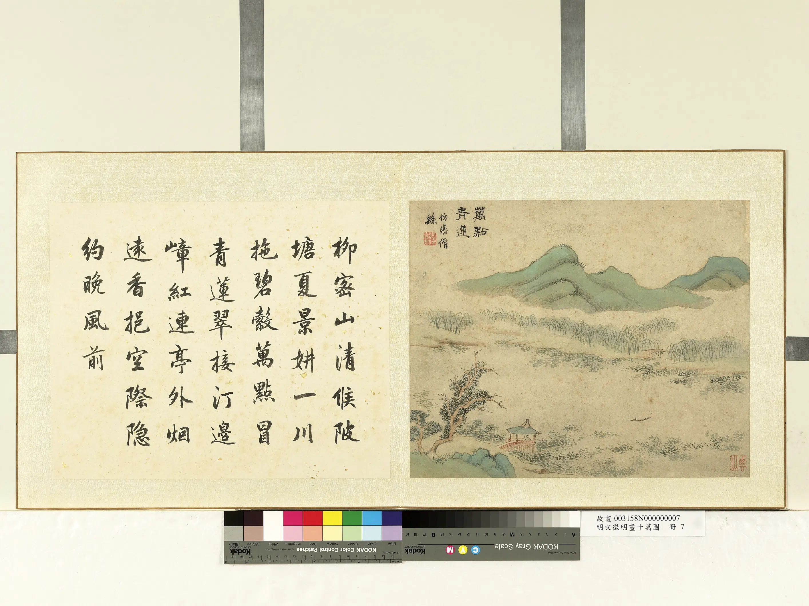 明朝【文征明徵明】《画十万图册-万点青莲》