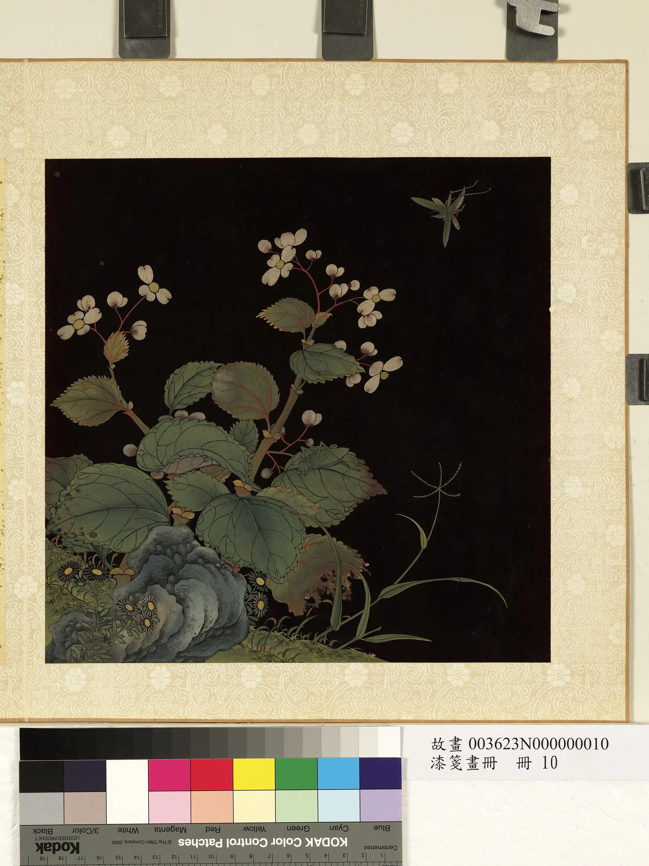 清朝【佚名】《漆笺画册-花与昆虫》