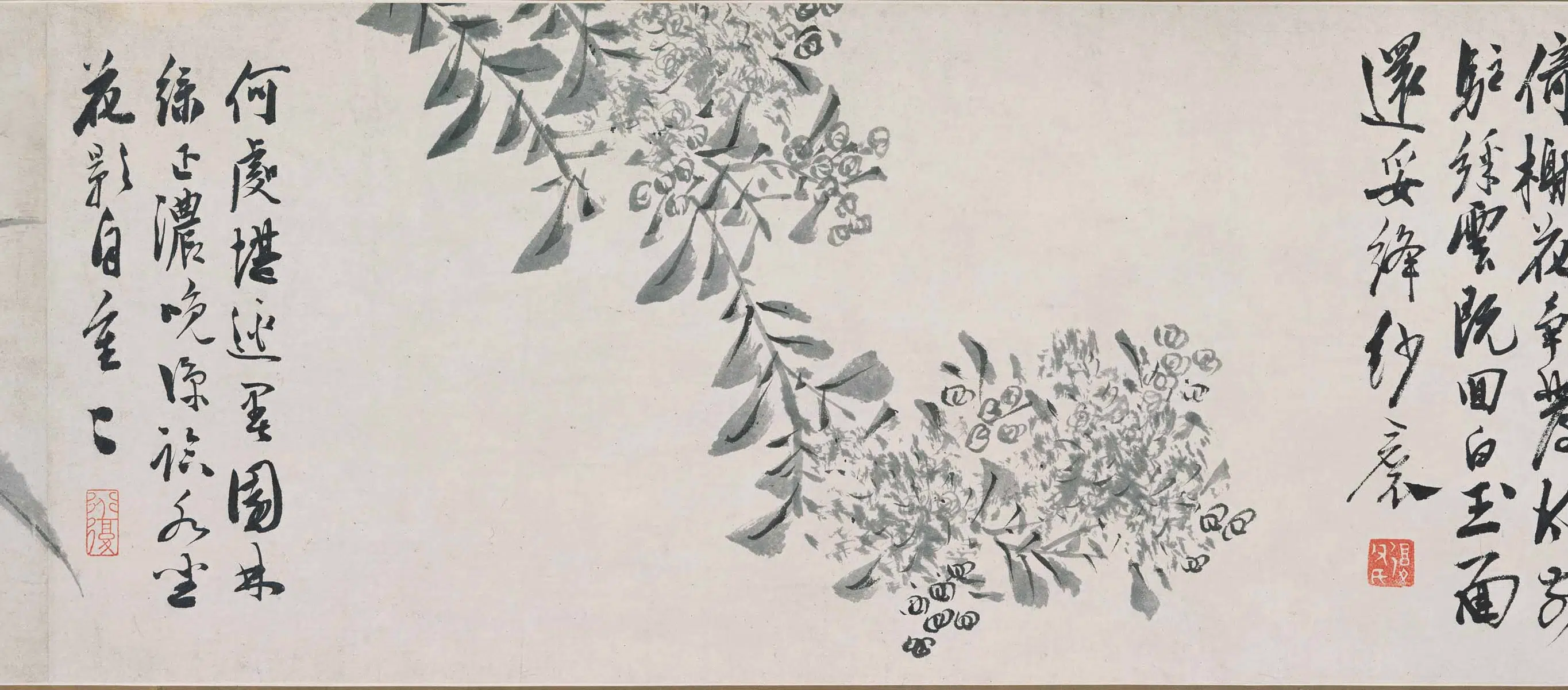 明朝【陈淳(道复)】《墨花十二种图卷》 第7张 明朝【陈淳(道复)】《墨花十二种图卷》 第7张