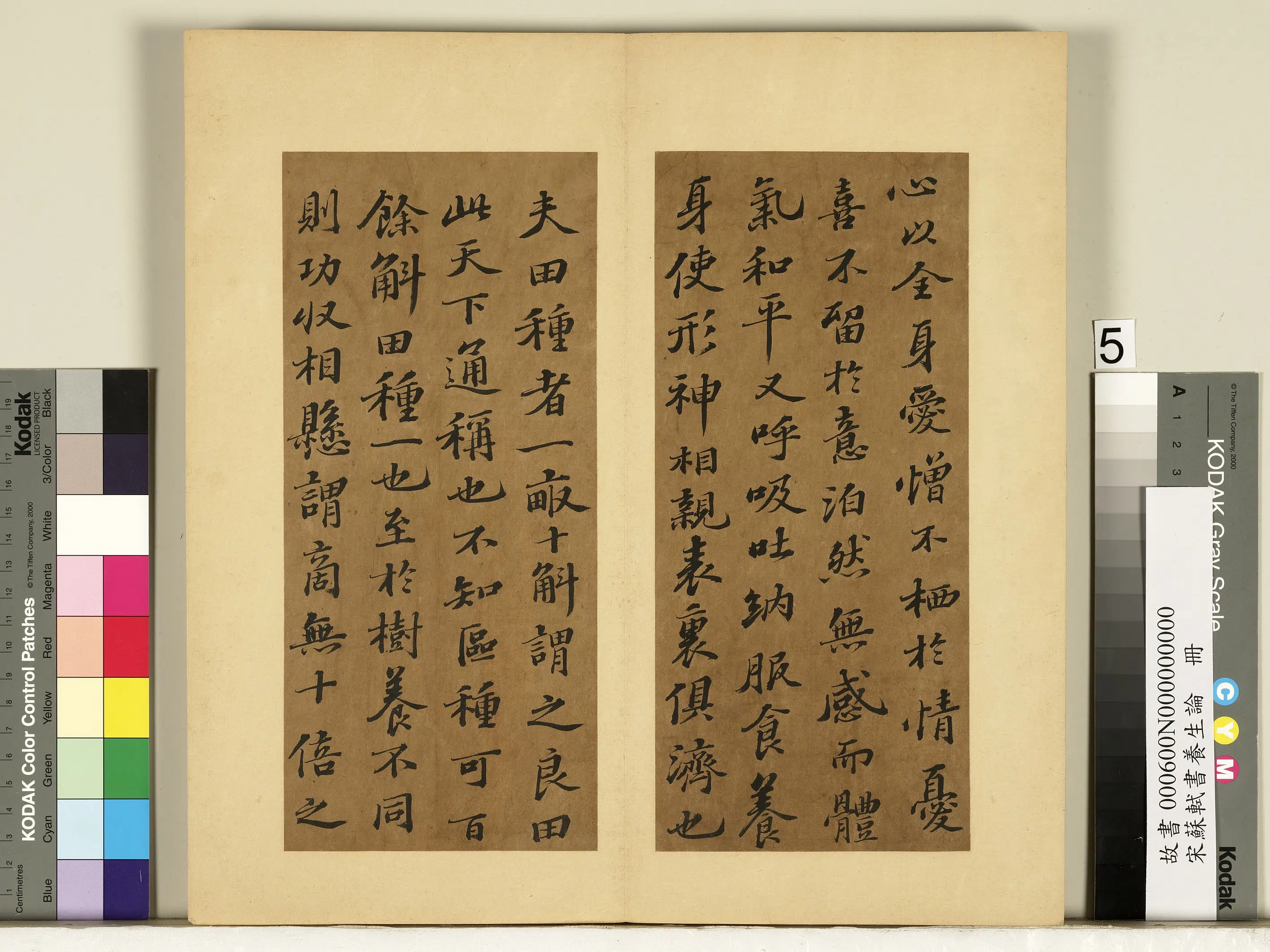 北宋【苏轼】《书养生论真迹册》 第12张 北宋【苏轼】《书养生论真迹册》 第12张