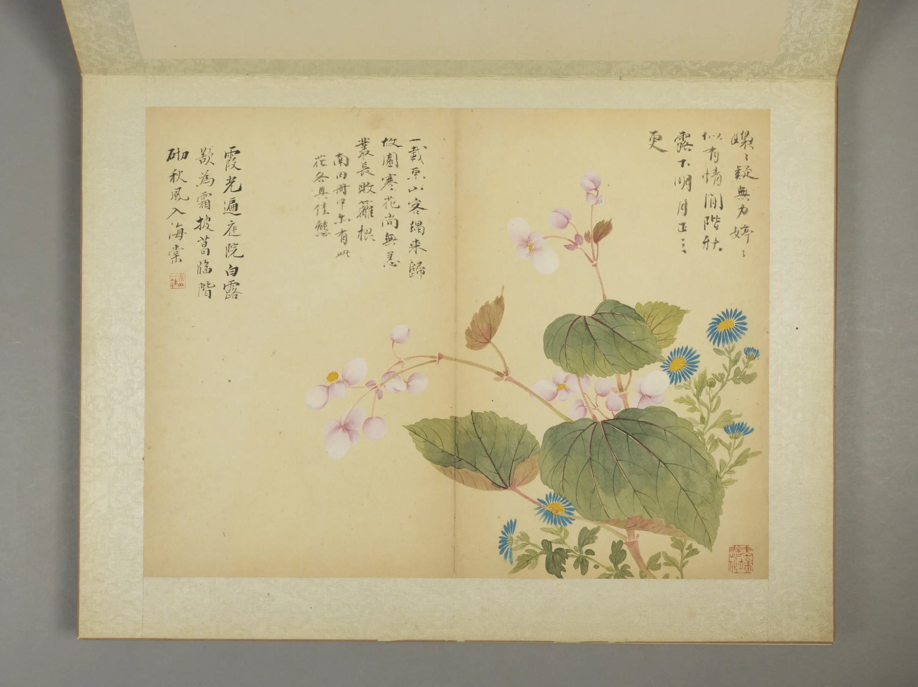 清代【邹一桂】《花卉图册（11开）》