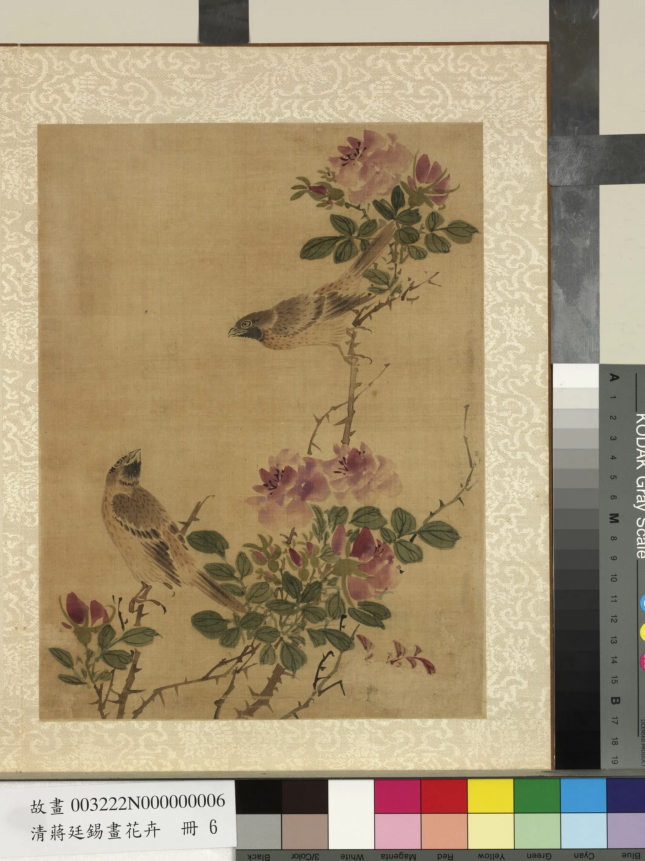 清代【蒋廷锡】《画花卉册-玫瑰双禽》