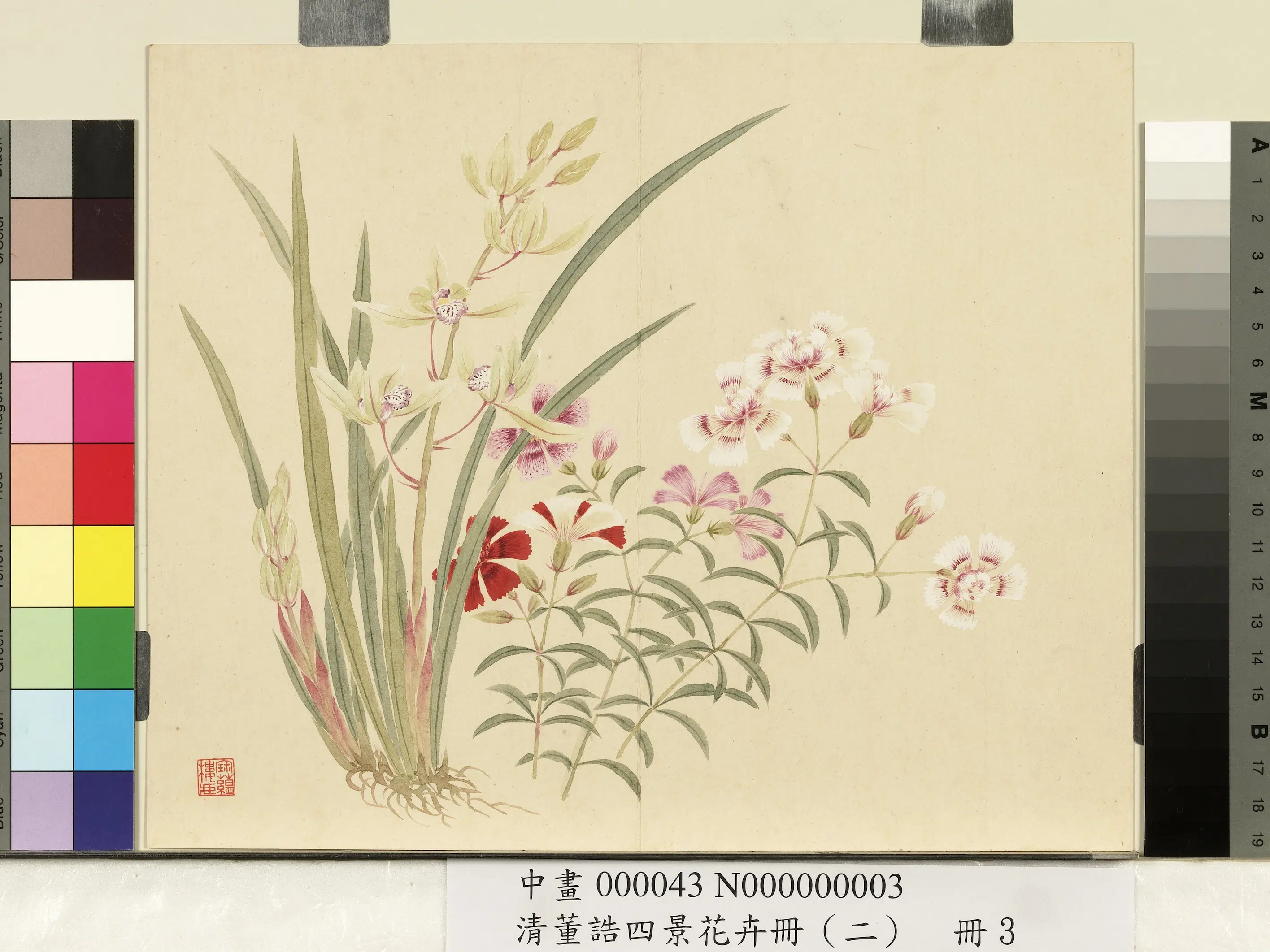清代【董诰】《四景花卉册(二)册-夏景花卉之三》 第1张 清代【董诰】《四景花卉册(二)册-夏景花卉之三》 第1张
