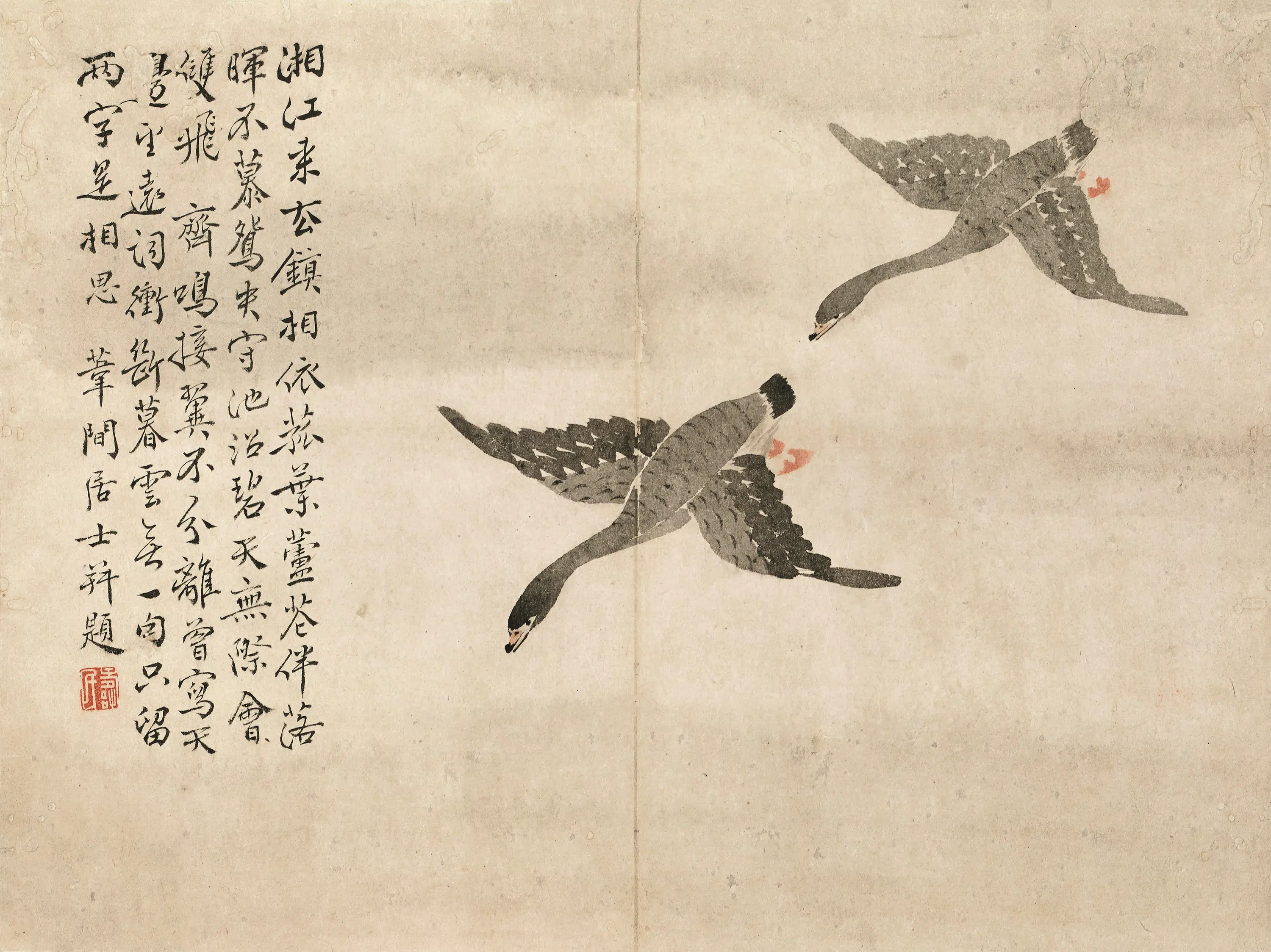 清代【边寿民】《莲州集影图册》 第4张