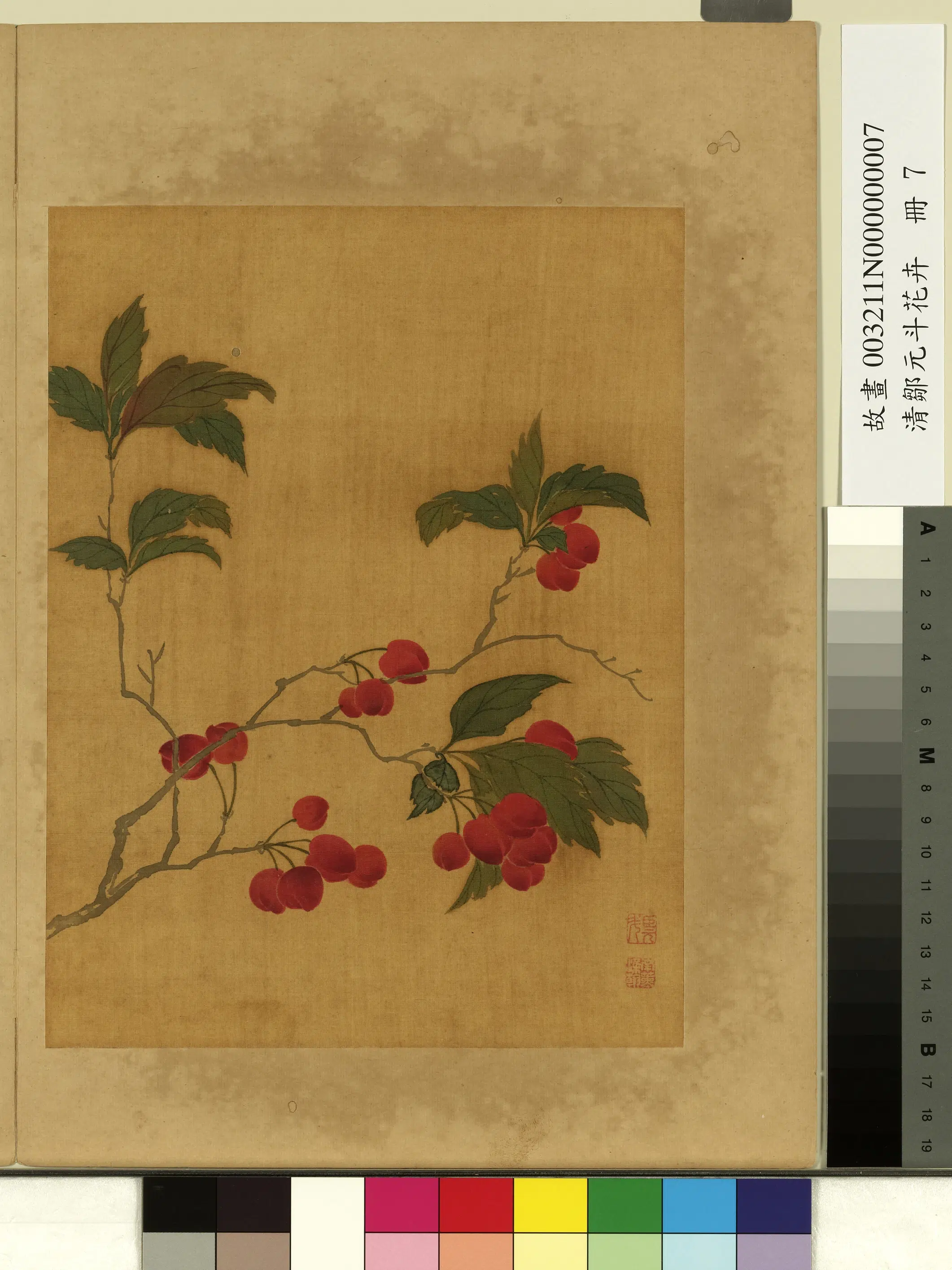清代【邹元斗】《花卉册-樱桃》