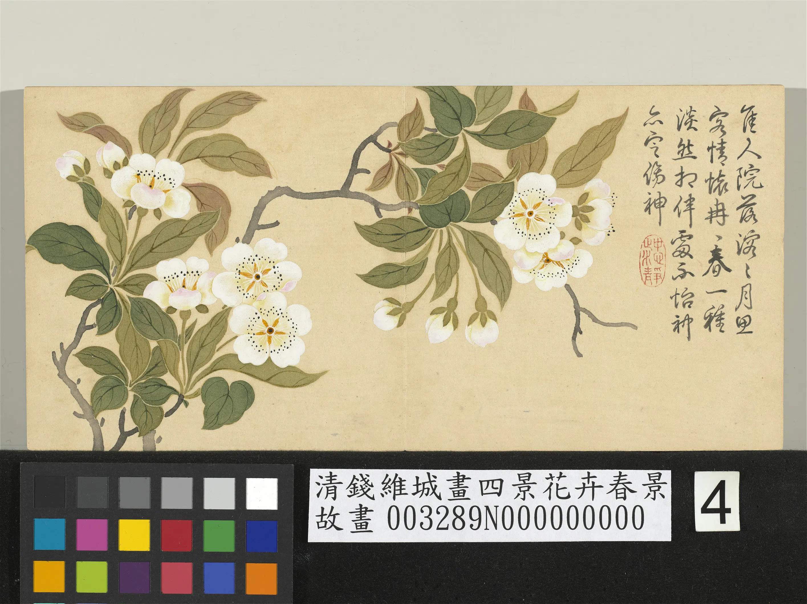 清代【钱维城】《画四景花卉春景册-梨花》