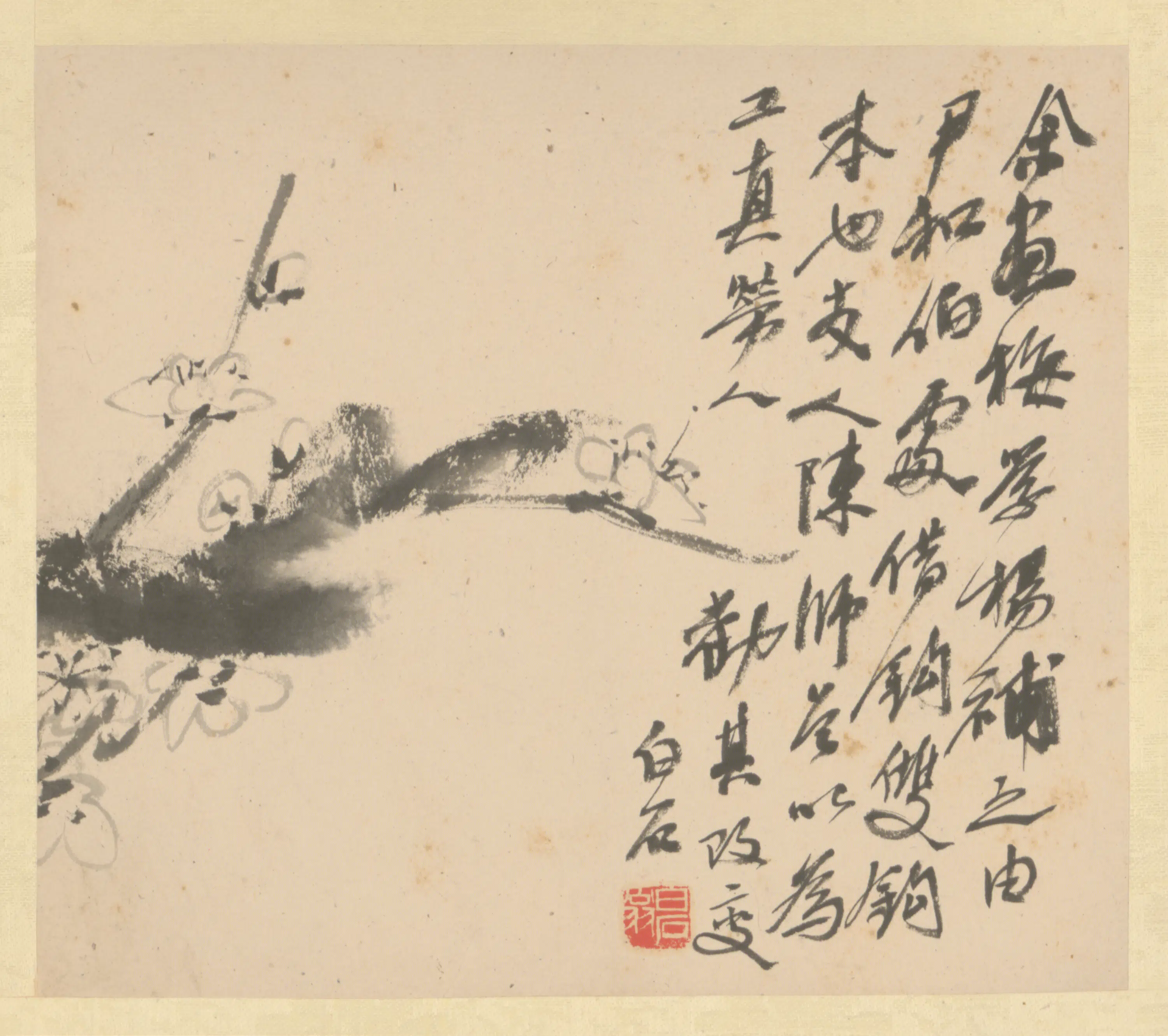 近现代【齐白石】《花卉册》 第4张 近现代【齐白石】《花卉册》 第4张