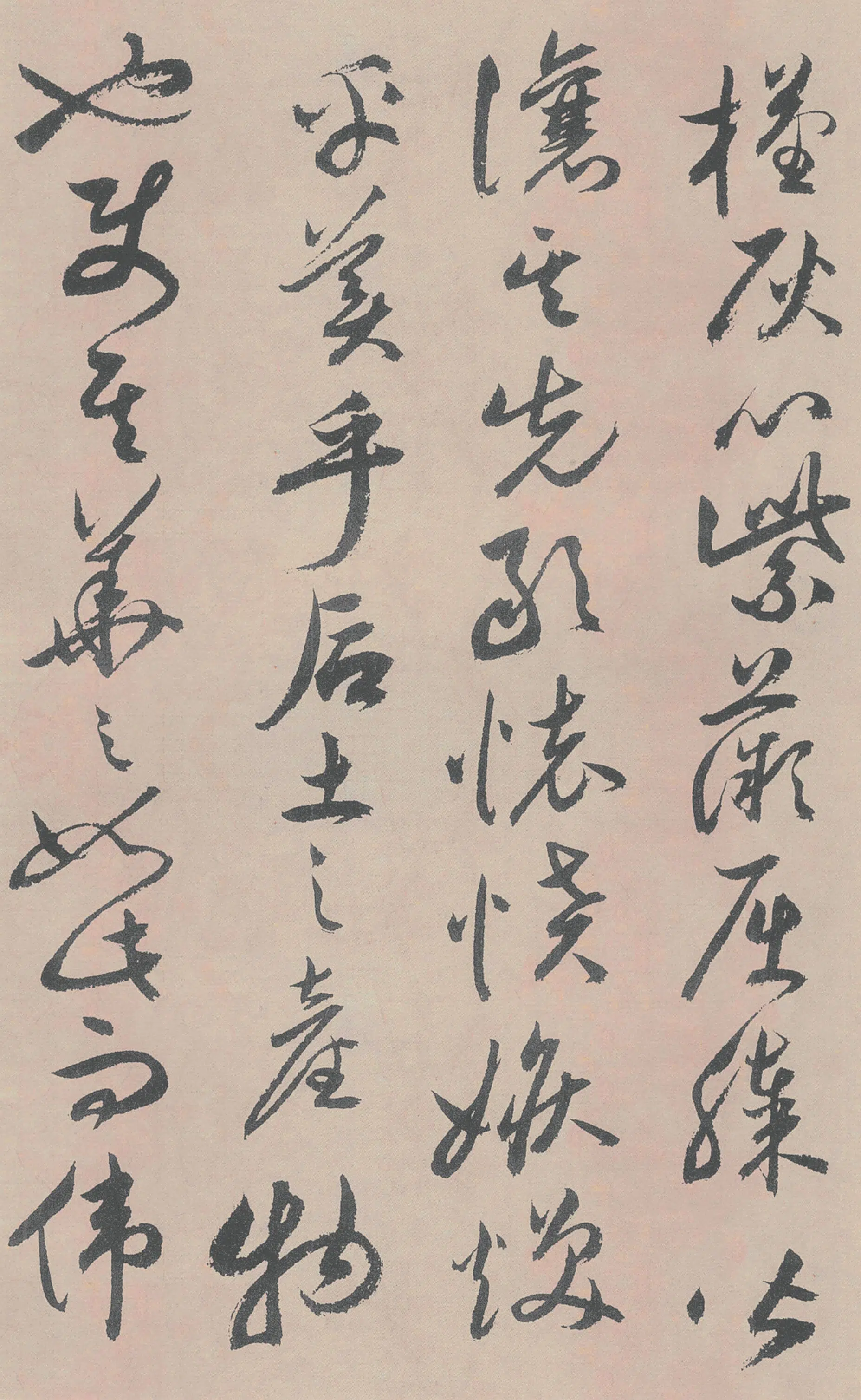 明朝【祝允明】《牡丹赋》 第19张