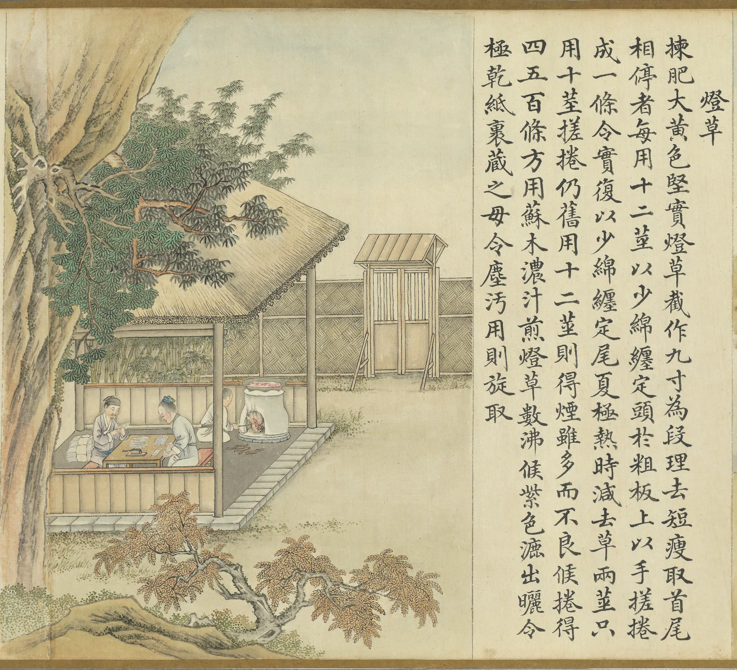 清代【沈初】《徐扬墨法集要图卷_灯草》