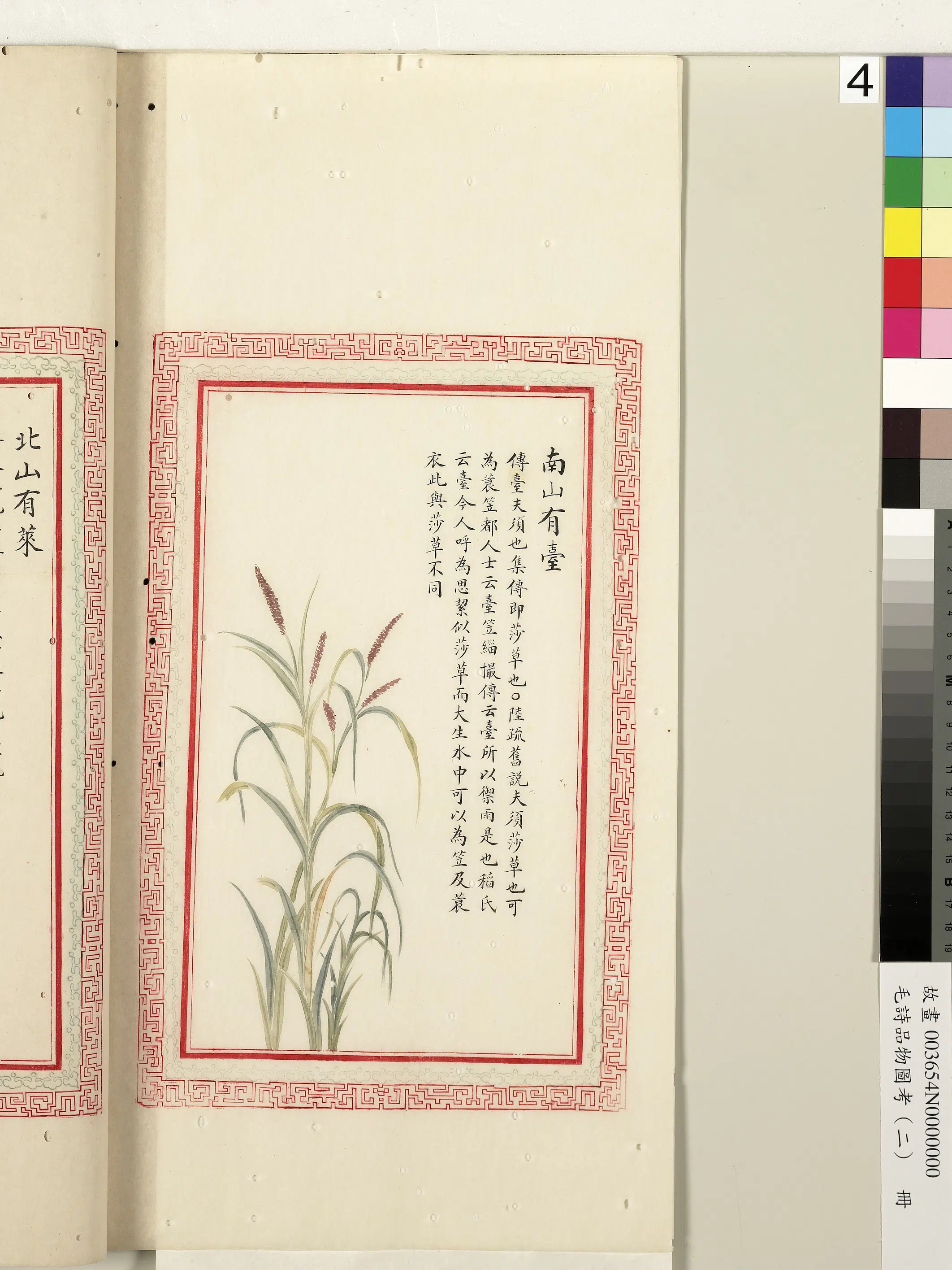 清朝【佚名】《毛诗品物图考（二）册-南山有台-1》