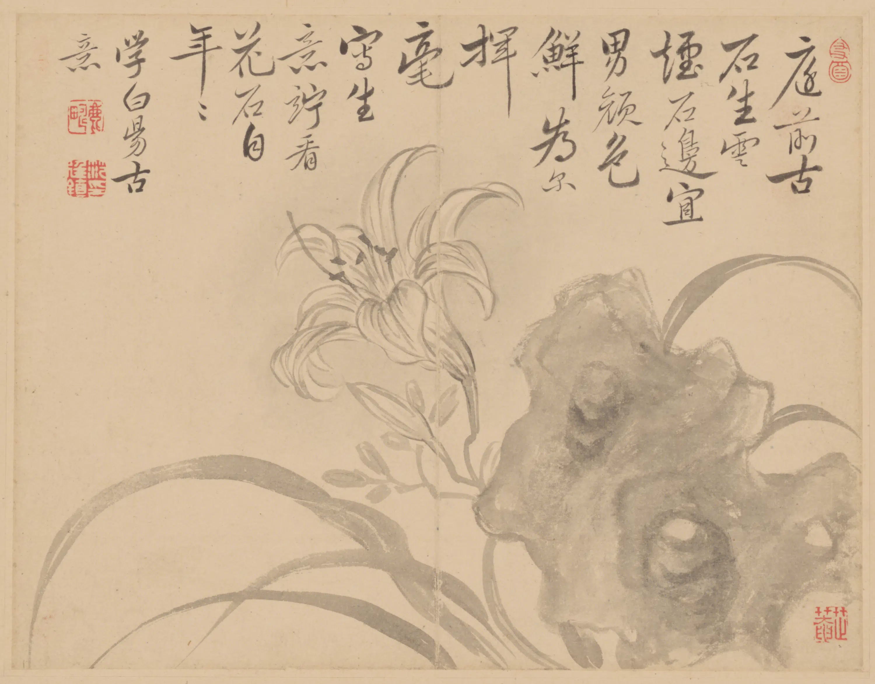 清代【范廷镇】《花卉册》 第8张 清代【范廷镇】《花卉册》 第8张