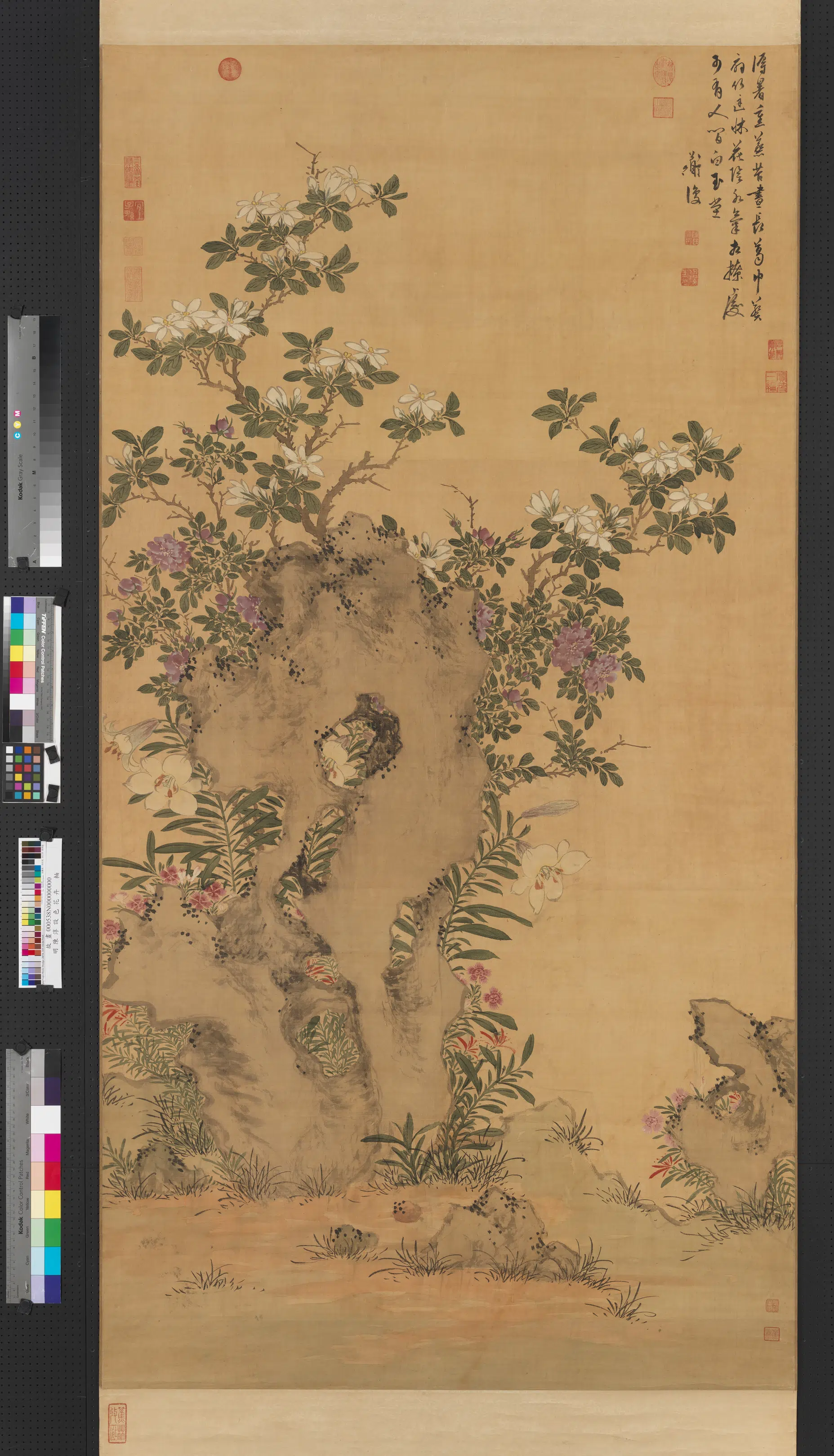 明朝【陈淳（道复）】《设色花卉图轴》
