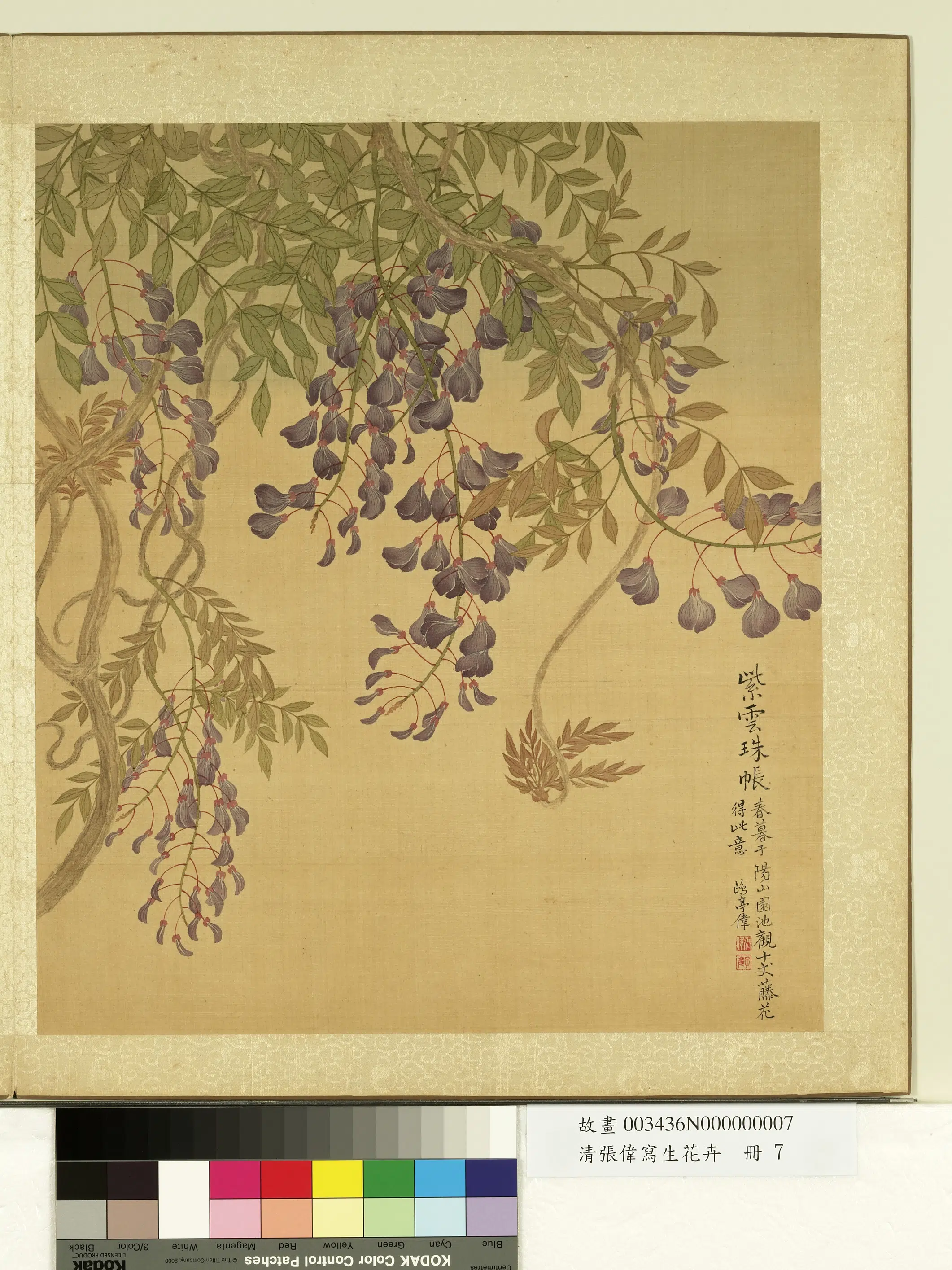 清代【张伟】《写生花卉册》 第19张