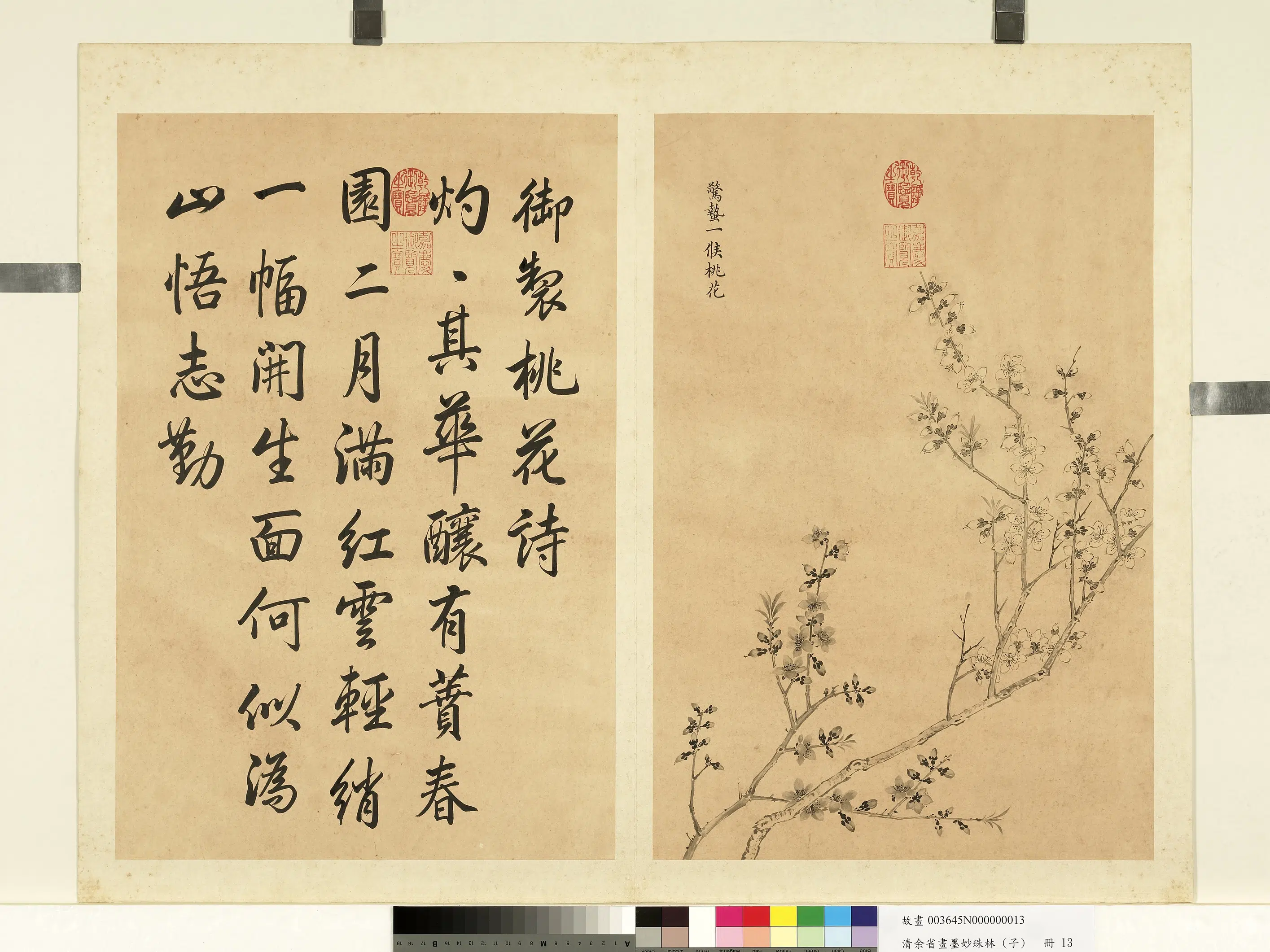 清代【余省】《画墨妙珠林（子）册-惊蛰一候桃花》