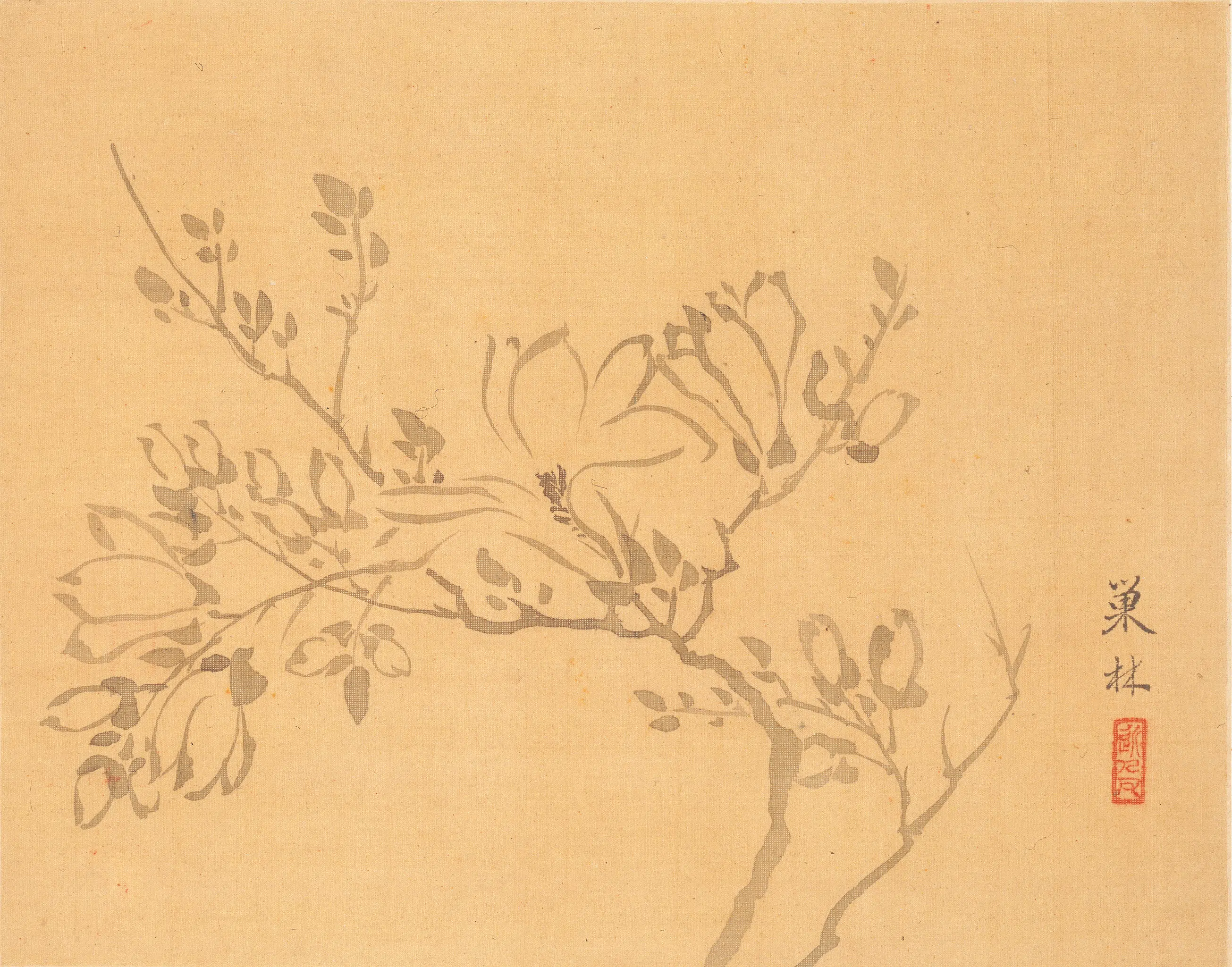 清代【汪士慎】《花卉册》 第10张 清代【汪士慎】《花卉册》 第10张