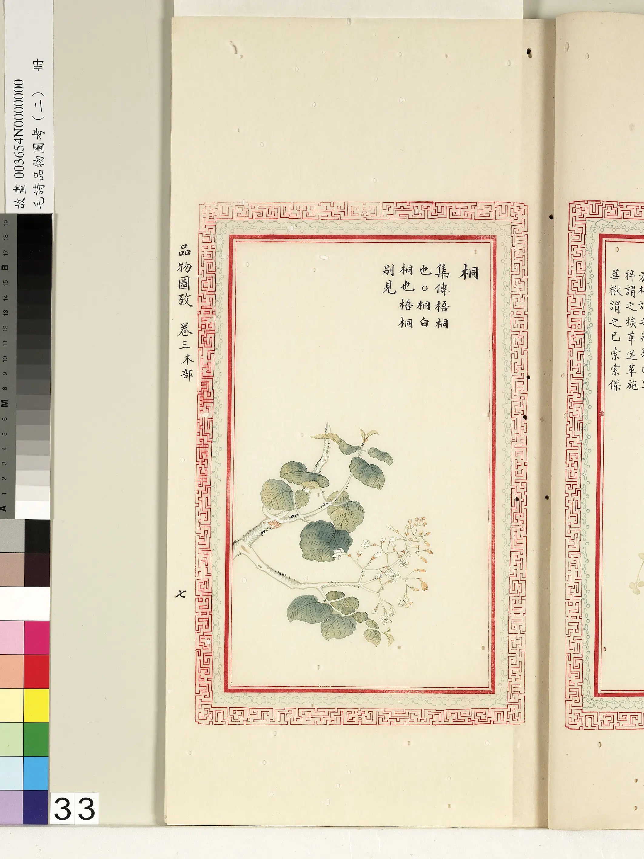 清朝【佚名】《毛诗品物图考（二）册-桐-1》