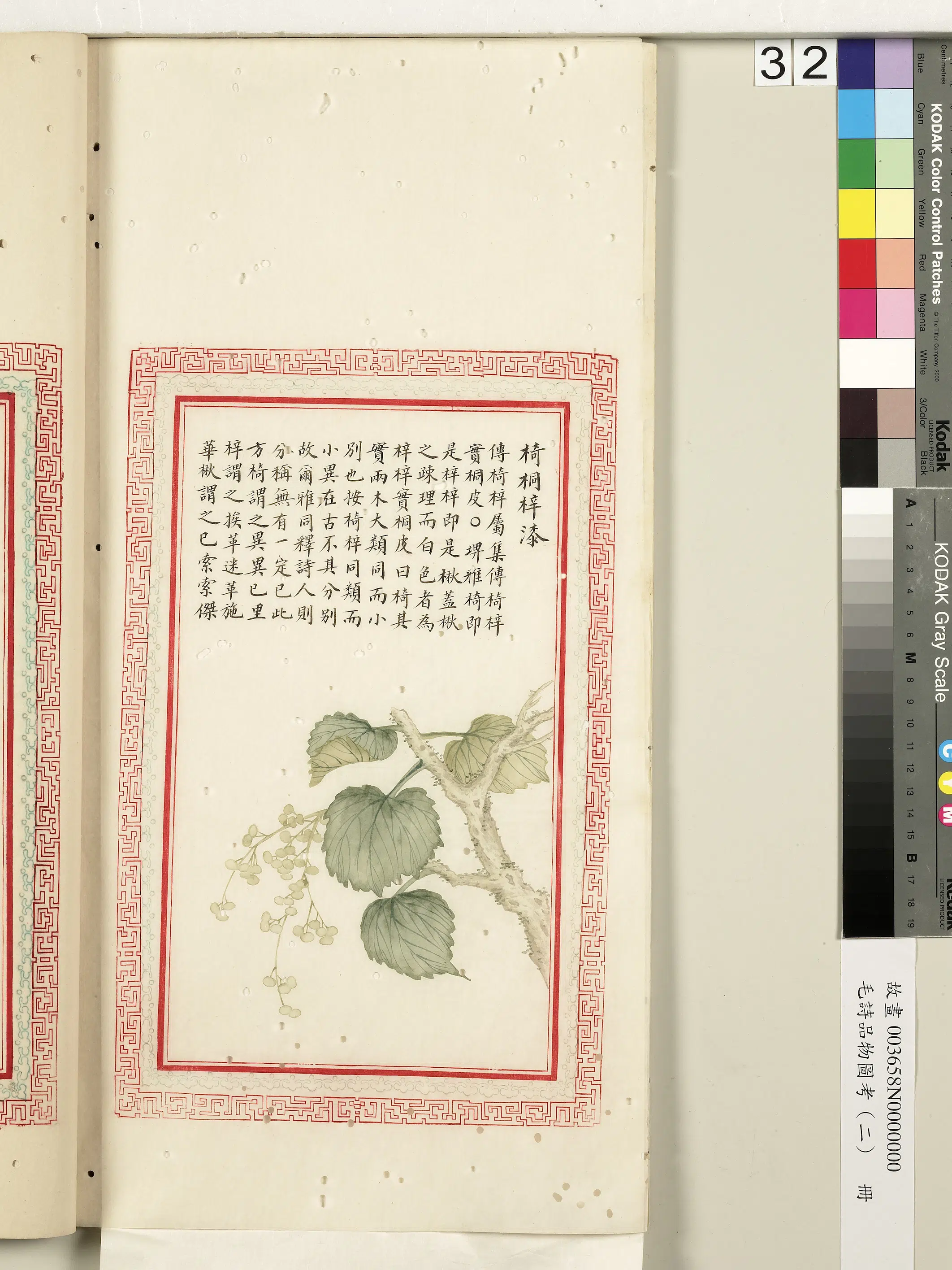 清代《毛诗品物图考（二）册-2》 第35张